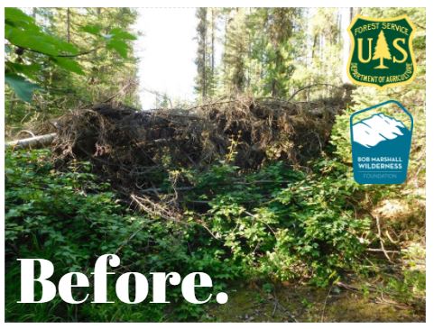 Breaking Trail: From the first BMWF Wilderness Ranger Intern