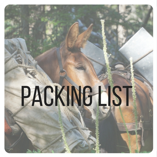 packing list 