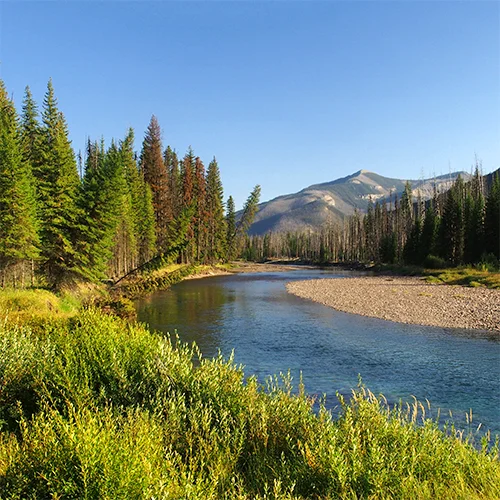 south fork flathead.jpg