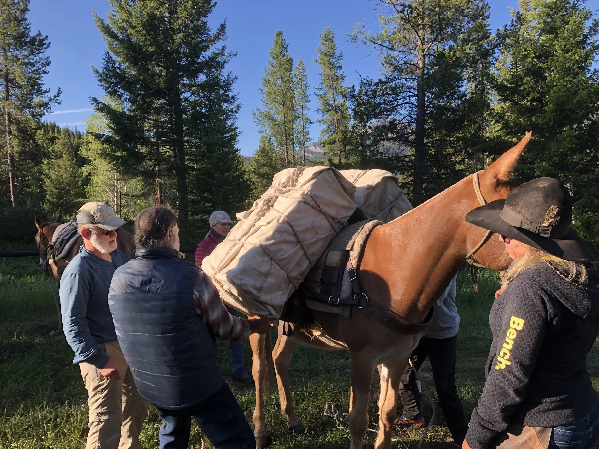 Life on the Trail Without Packers