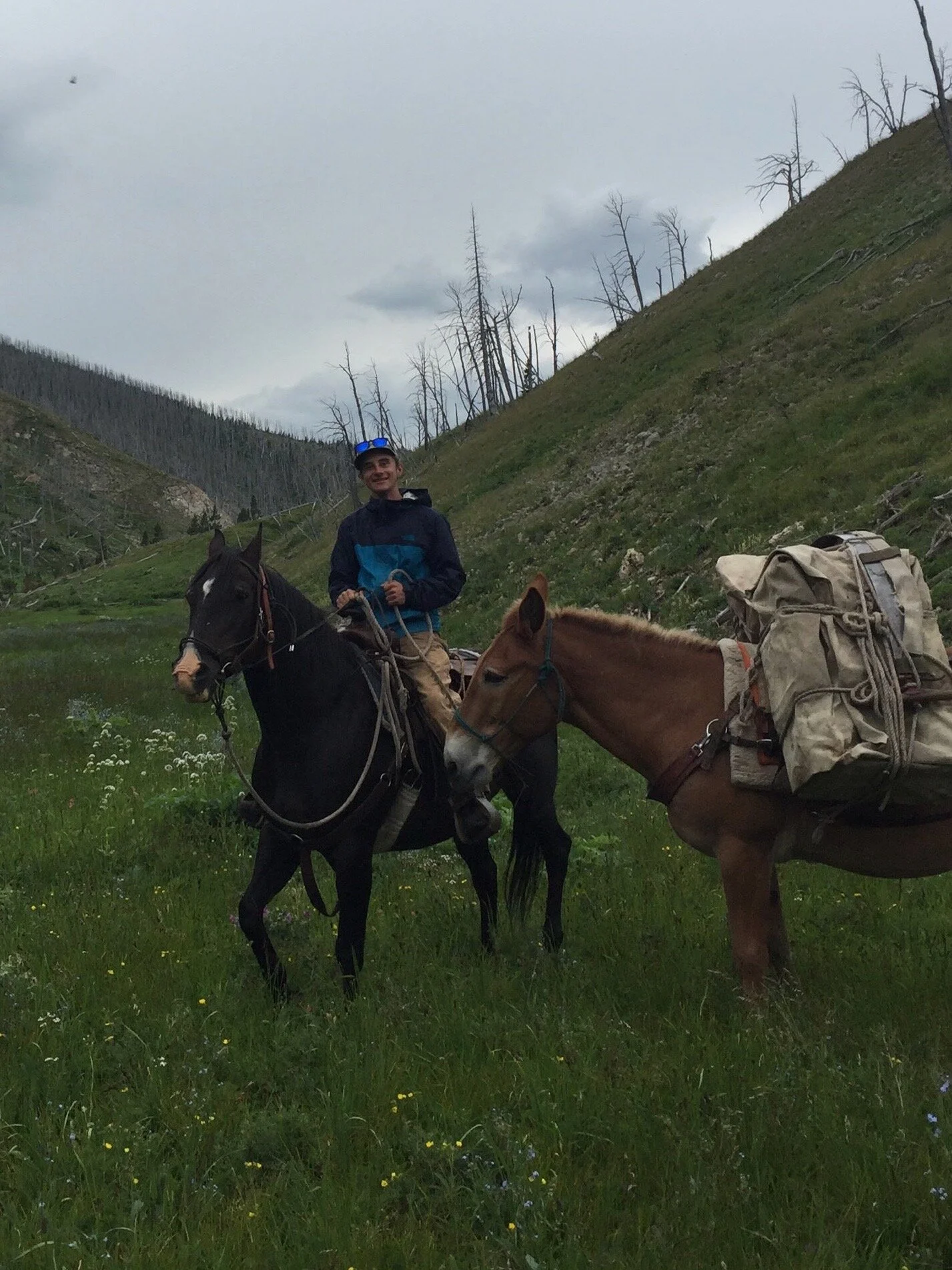 Ten Lessons Horsepacking Taught Me