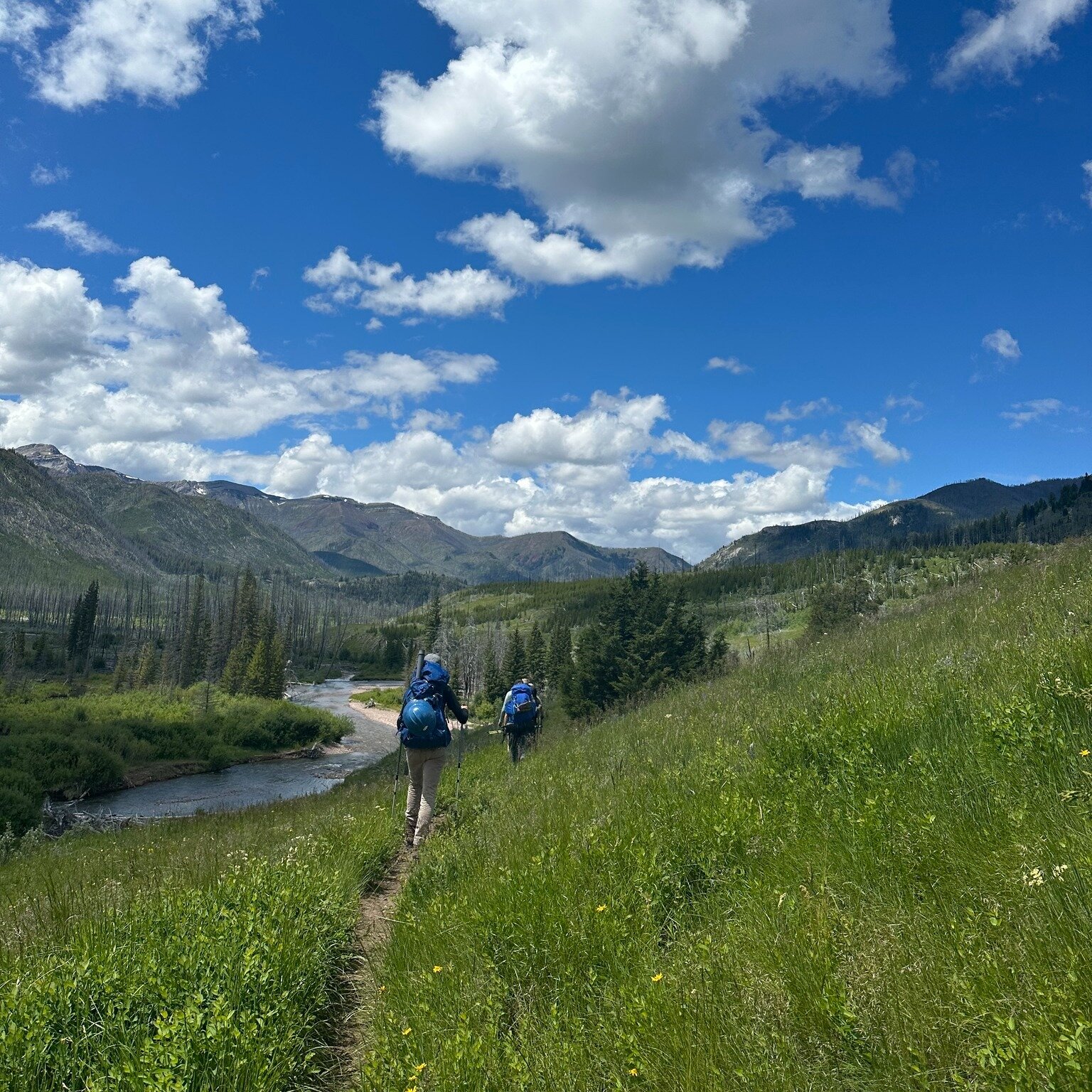 Reminder for our Missoula friends to join us ✨tomorrow✨ to kick off celebrations for the 60th anniversary of the Wilderness Act! Come by @freecyclesmissoula between 6:30-9:30 pm during First Friday on April 5. We'll be there with our Bob booth, along