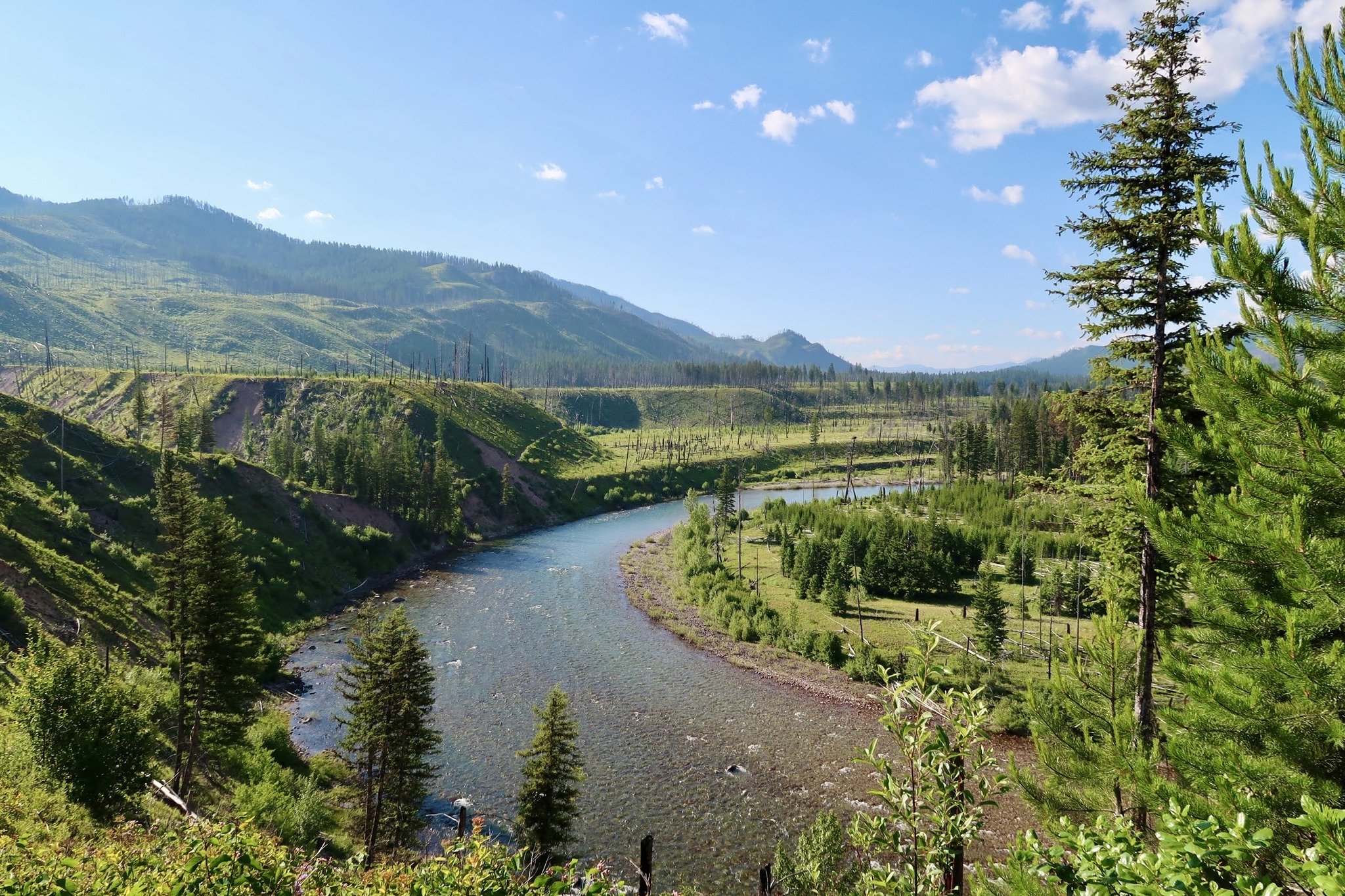 Circle 'round to hear stories straight from the Wild and Scenic South Fork of the Flathead River! As part of @sacredwatersbrewing Stories from the Backcountry series, we're hosting a campfire chat featuring Spotted Bear River Ranger Fischer Gangemi a