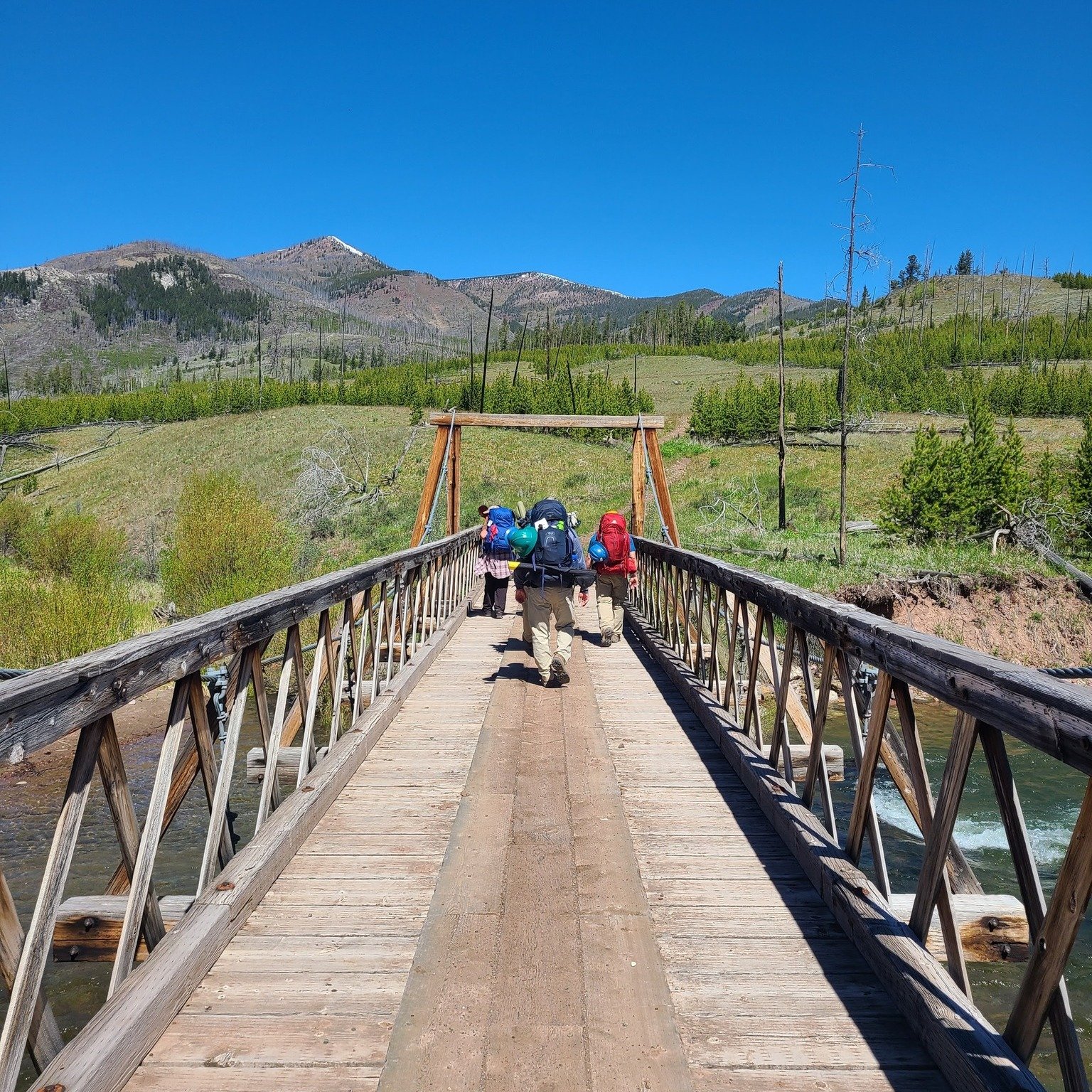After months of preparations, planning, hiring, and coordination, we are finally on the eve of another summer field season. Our Crew Leaders and Interns arrive on Monday to begin training and orientation, and we cannot wait to get them into the Bob!