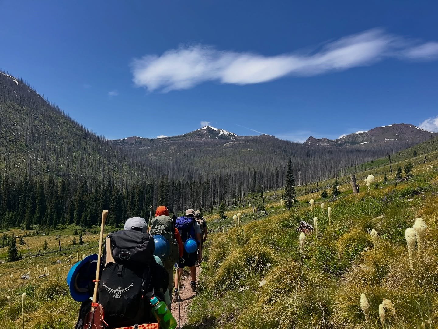 ☀️Call for volunteers: August☀️ It’s hard to believe we’re already halfway through our volunteer season! We do still have some projects on the tail end that could use a few more folks – if you’ve been itching to get out there,