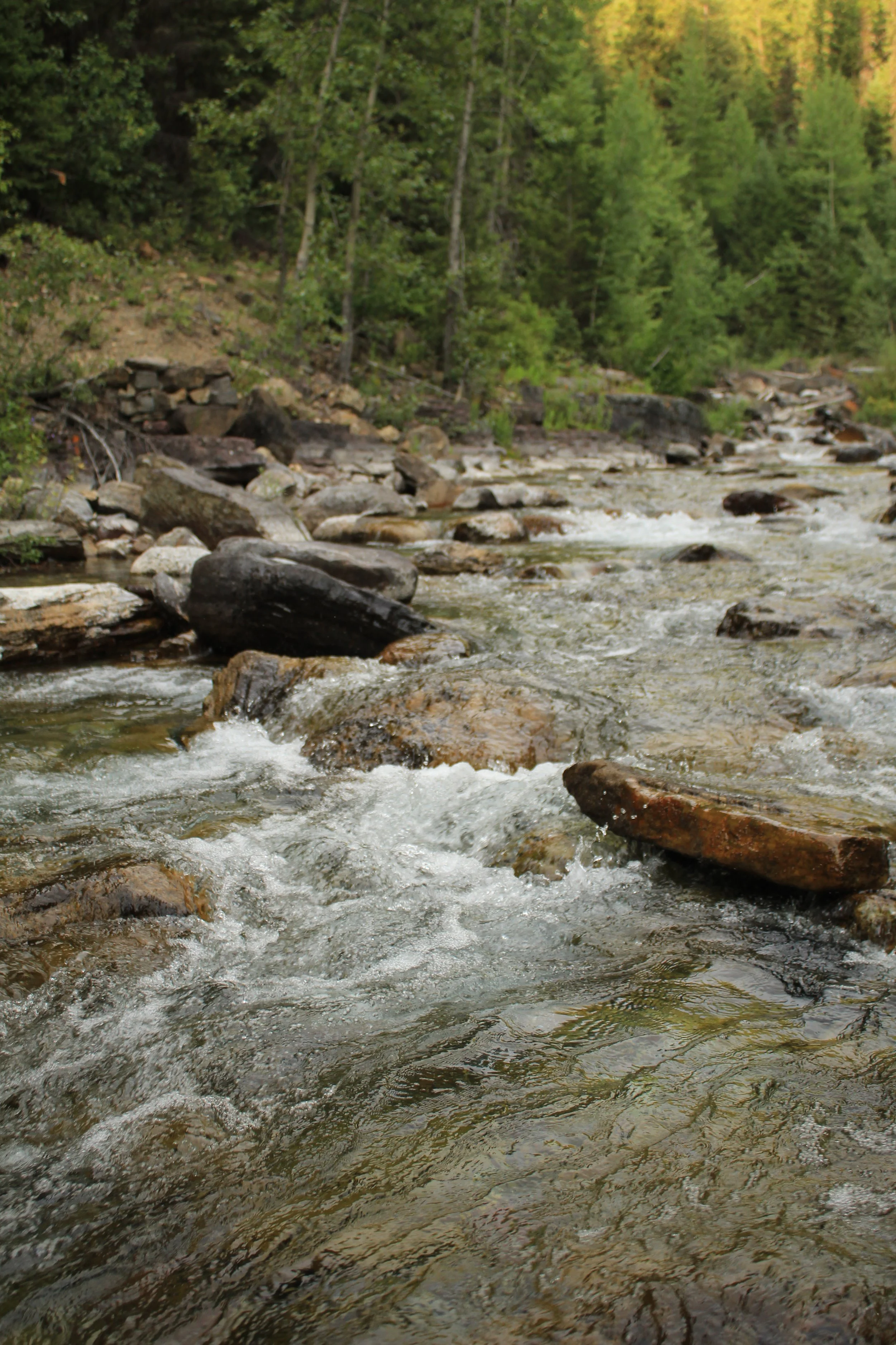 A Week in the Great Bear Wilderness in Verse 