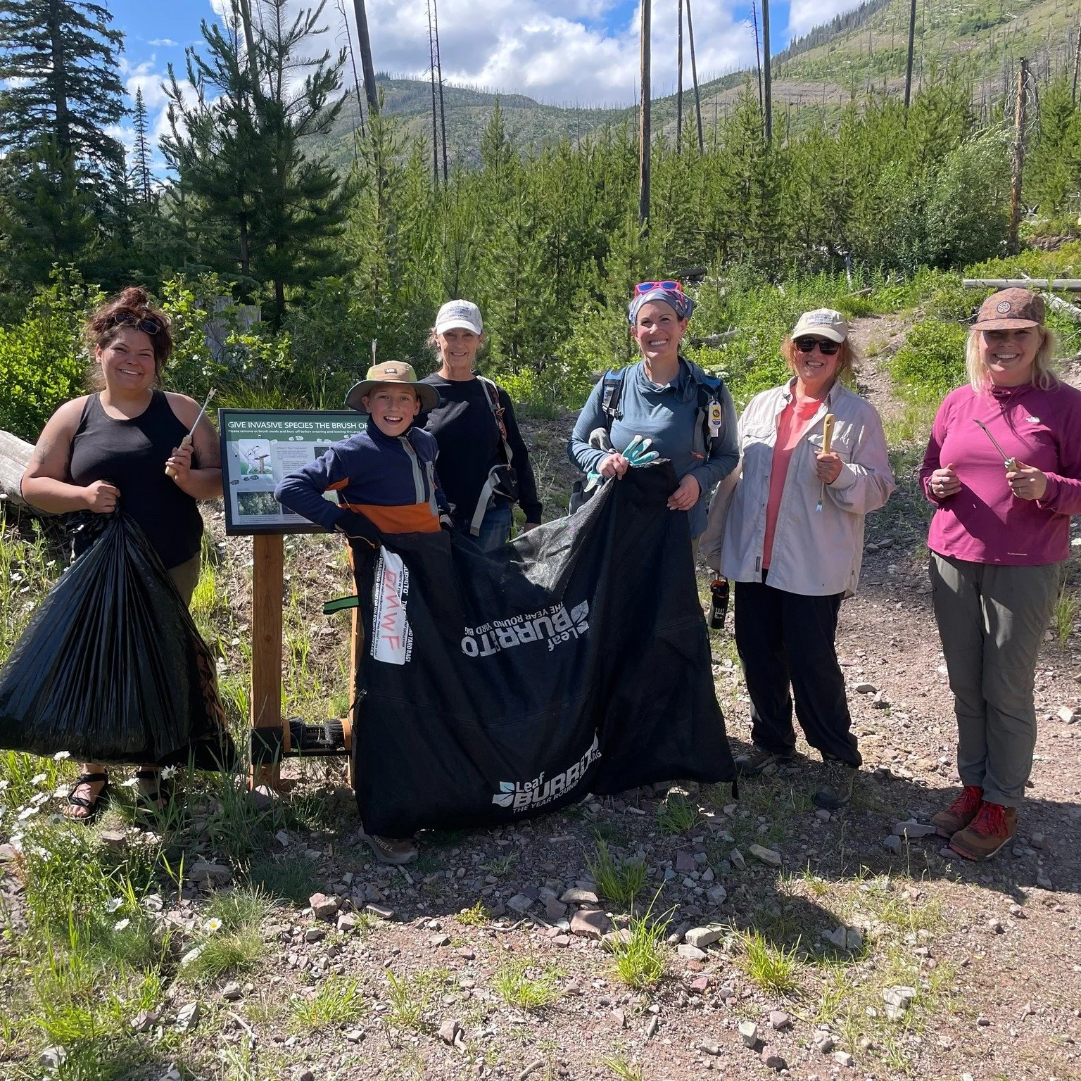 We added a new type of project to our roster this summer for folks who were short on time but still wanted to make a difference in the Bob. Volunteers on our two single-day Trailhead Stewardship projects worked hard to pull invasive weeds along impor