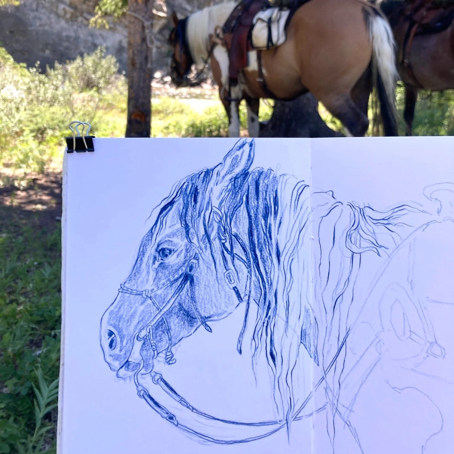 Now that all three of our artist residencies have wrapped up, we wanted to share some of the gorgeous shots they captured this summer in the Bob 😍 

Big thanks to @huckleberry.syd and @tareksprints, @magpie.pottery, and @elana_james for seizing this