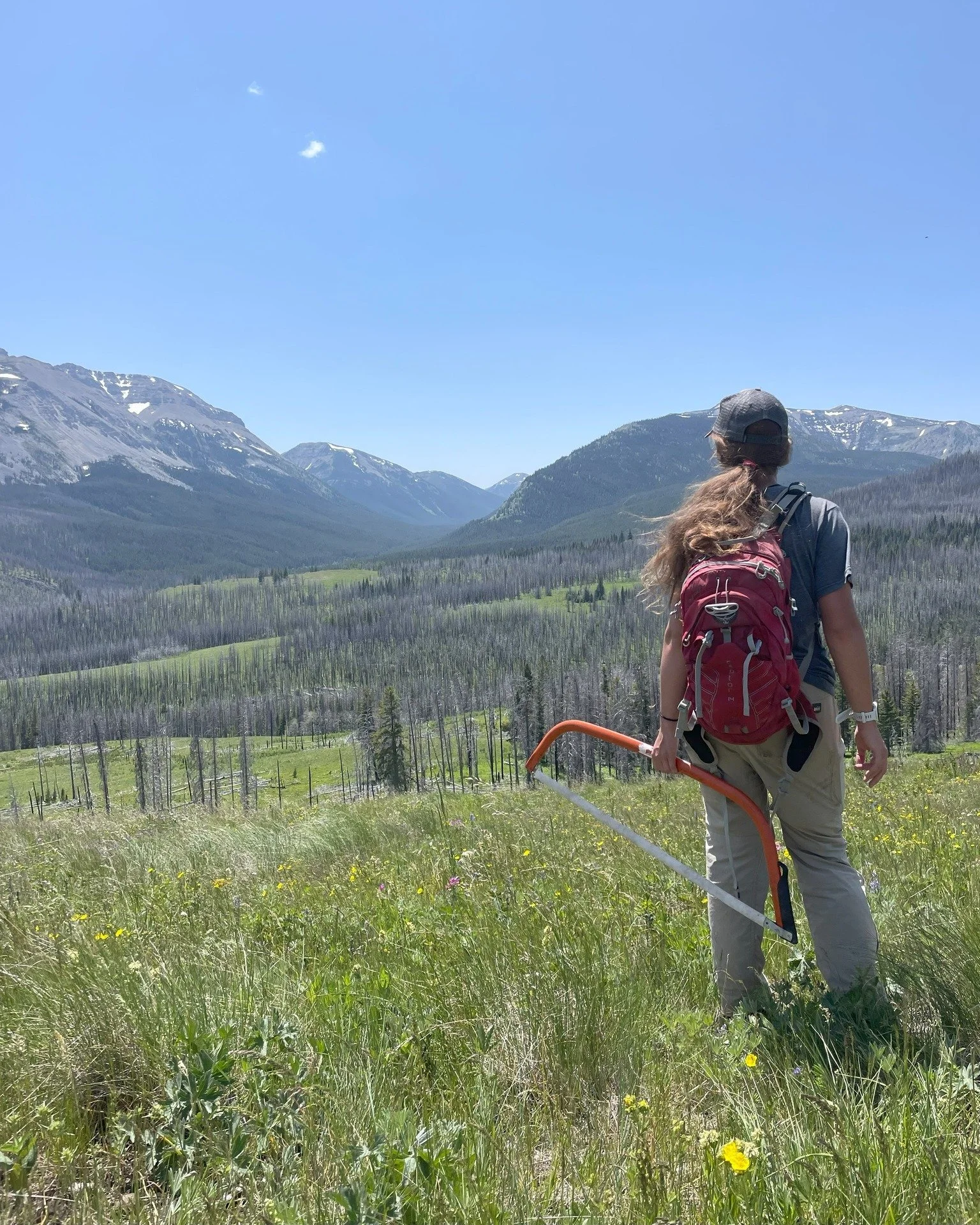 Happy National Public Lands Day! We feel so lucky to be part of caring for this big, beautiful, wild stretch of public land &ndash; the Bob Marshall Wilderness Complex. 

We hope you're out there enjoying some of those wild places that belong to all 