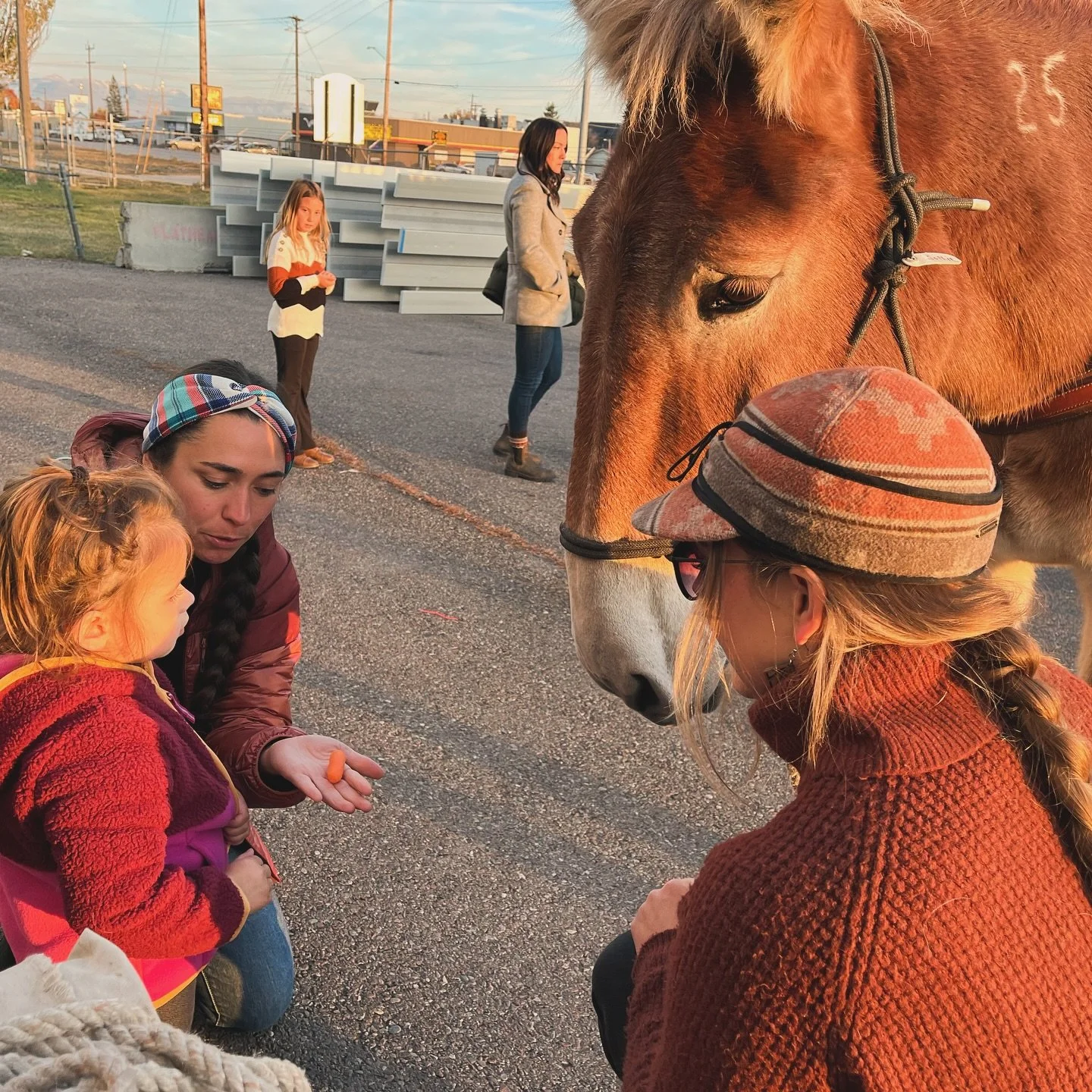 The BobFest is coming SOON, and we&rsquo;re bringing the Bob to you! 🏔️🏕️🔥 On Friday, October 10th, don&rsquo;t miss your chance to:

🫏 Meet our very special 4-legged guests &ndash; some of the mules who help pack in our volunteer crews!
🪚 Grab 