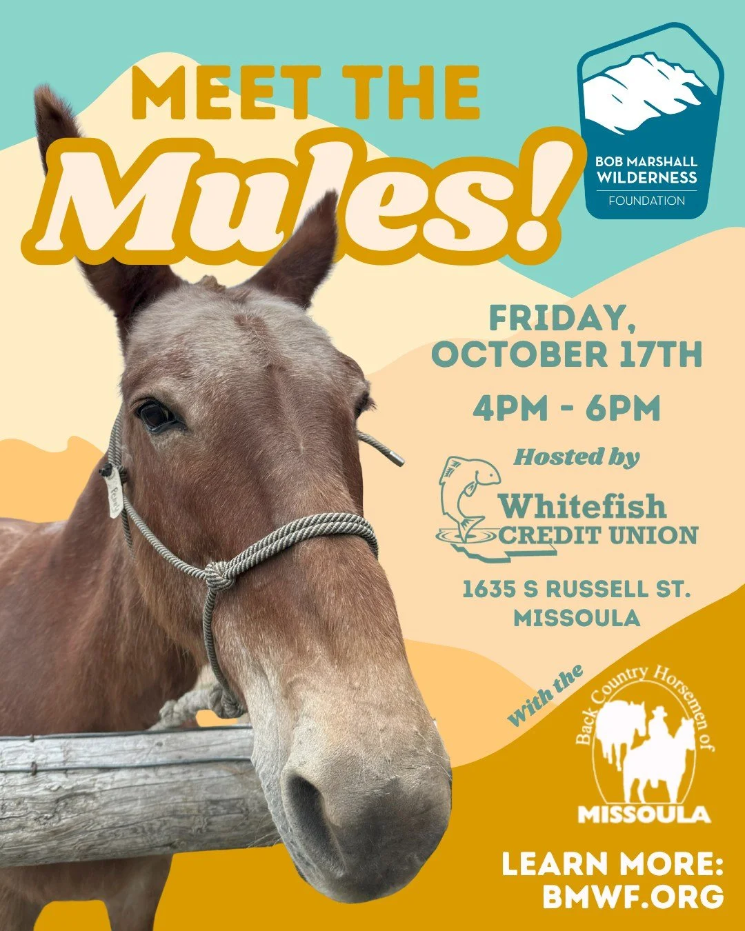 If you missed the mules at the BobFest, we have another chance! The @missoulabch are joining us to bring a string of critters to the brand new @whitefishcu branch in Missoula this Friday, October 17th.

Join us from 4-6 PM to give the mules some love