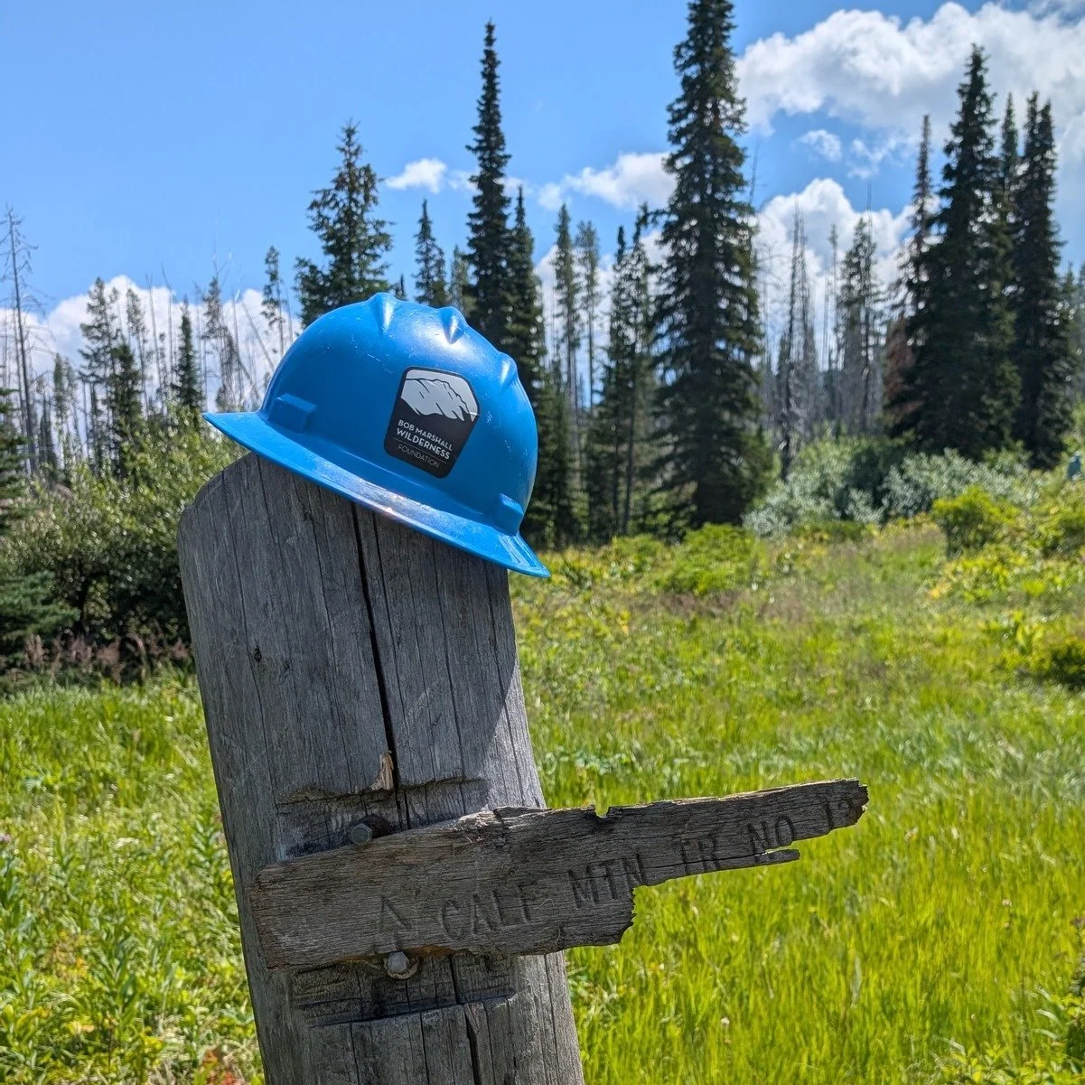 As our board and staff prepare to dive into updating our 5-year Strategic Plan this weekend, we want your input! There's still time to take our 2025 Donor/Supporter Survey to help guide the Bob Marshall Wilderness Foundation's future.
We want to hea