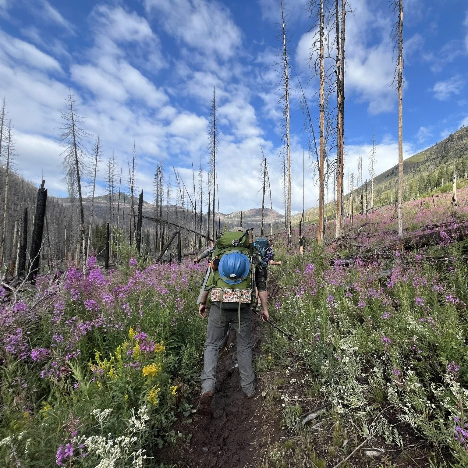 Our 2026 Volunteer Adventures will be announced SOON! Mark your calendars to check out our trip schedule and learn more about joining us in the Bob this summer:

👀 Preview week: March 2nd-March 8th &ndash; View our full trip list and find your favor
