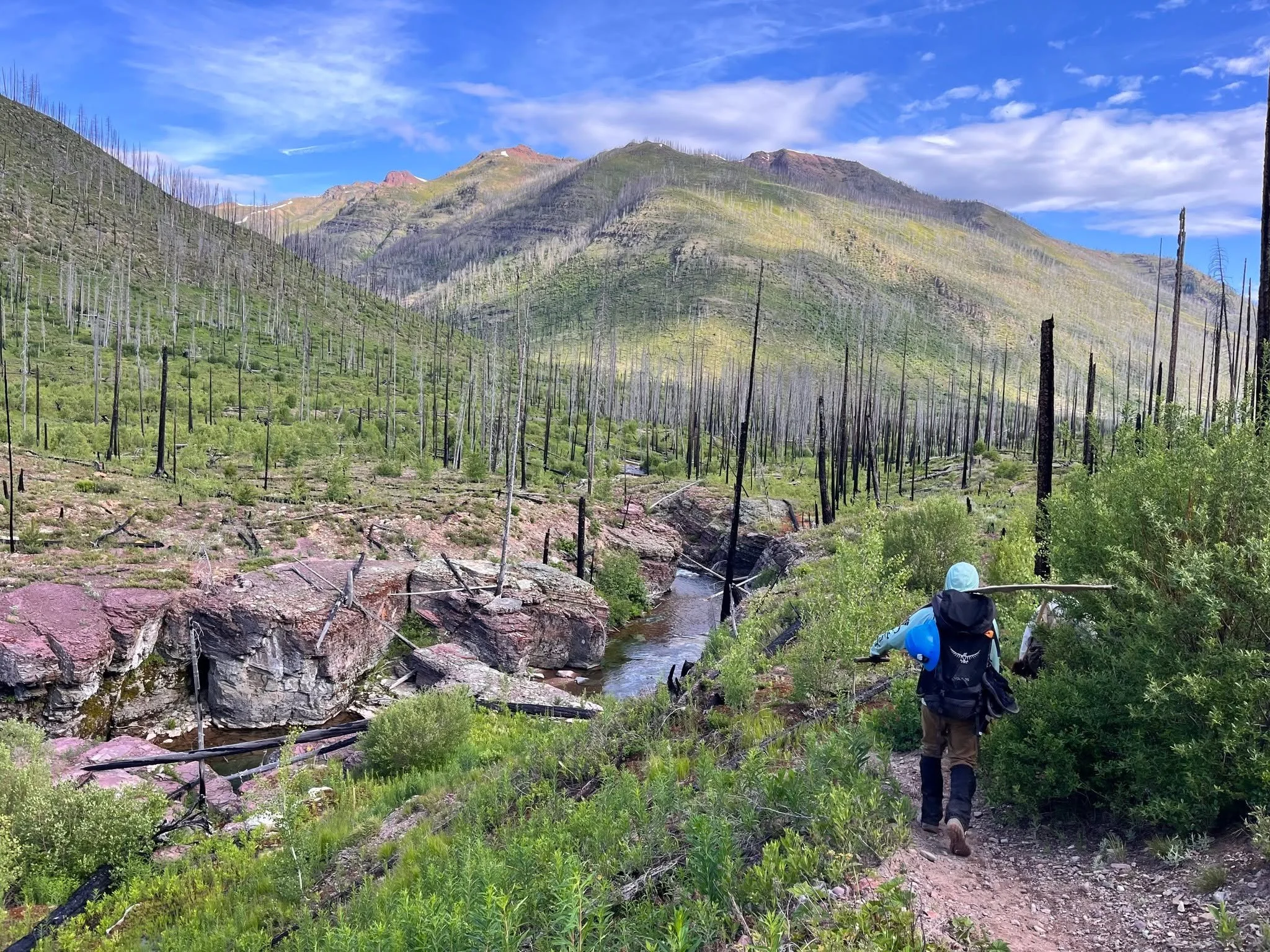 2026 Volunteer Adventures are HERE!!! 🥾🔥🏕🫶
Our volunteer trip schedule is now open for preview! Our Preview Week gives you time to read through all of the details, check dates against your summer calendar, and choose your favorite projects &ndash