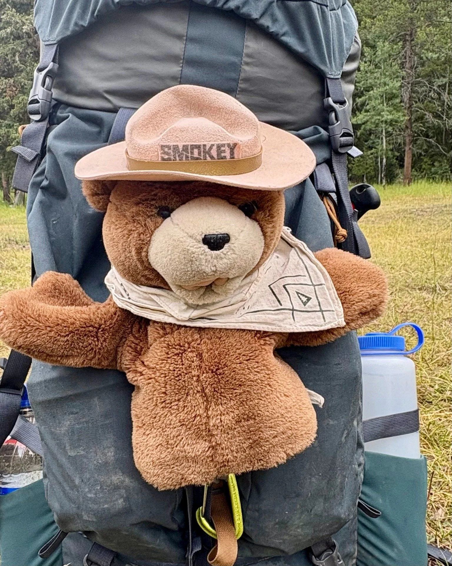 Another installment in our Volunteer FAQ series 🐻
Q: What do we do about all the bears?
A: We hear from a lot of folks who are nervous about running into a bear when they visit the Bob. You might be relieved to know that it is extremely rare for our