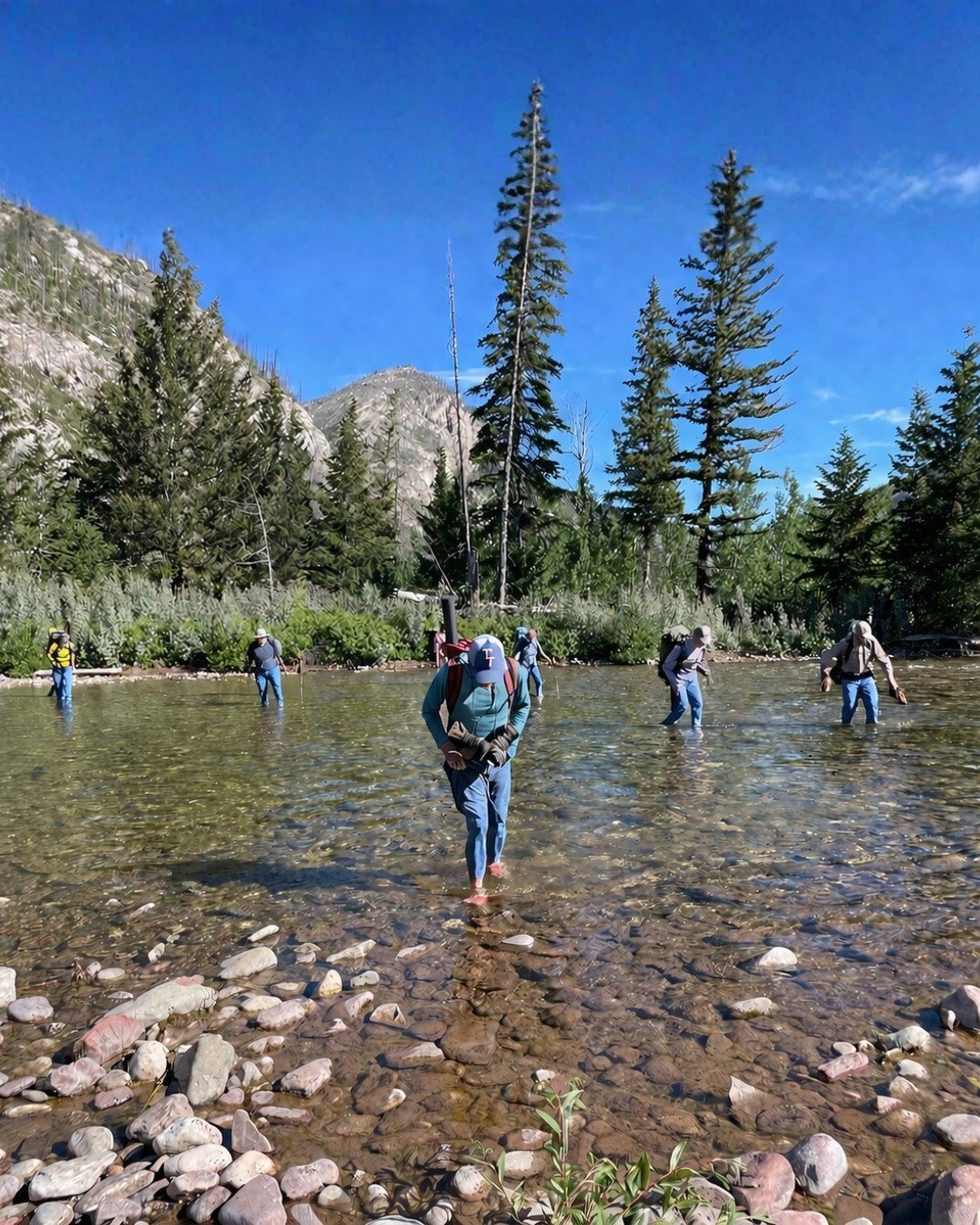 For many years, we've let our staff and volunteers choose whatever kind of work pants they prefer to wear on our stewardship projects. Lately we've been feeling the need to spruce up our image and make sure we're looking professional in the field. So