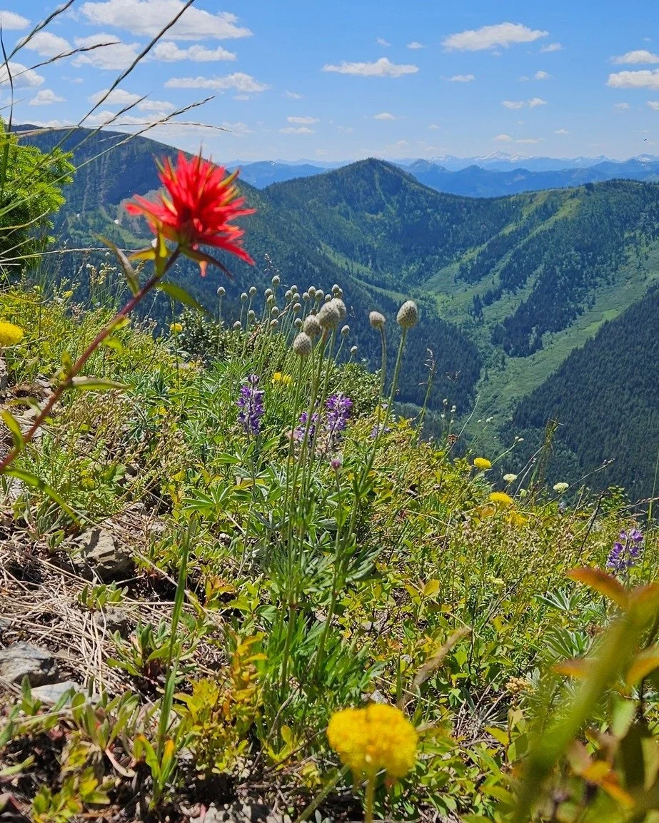 We're a day late for 406 day &ndash; but we'll always take a chance to celebrate this beautiful place we call home! Happy (belated) 406 Day to all who celebrate, from the beautiful Bob Marshall Wilderness Complex. Enjoy a few of our favorite snapshot