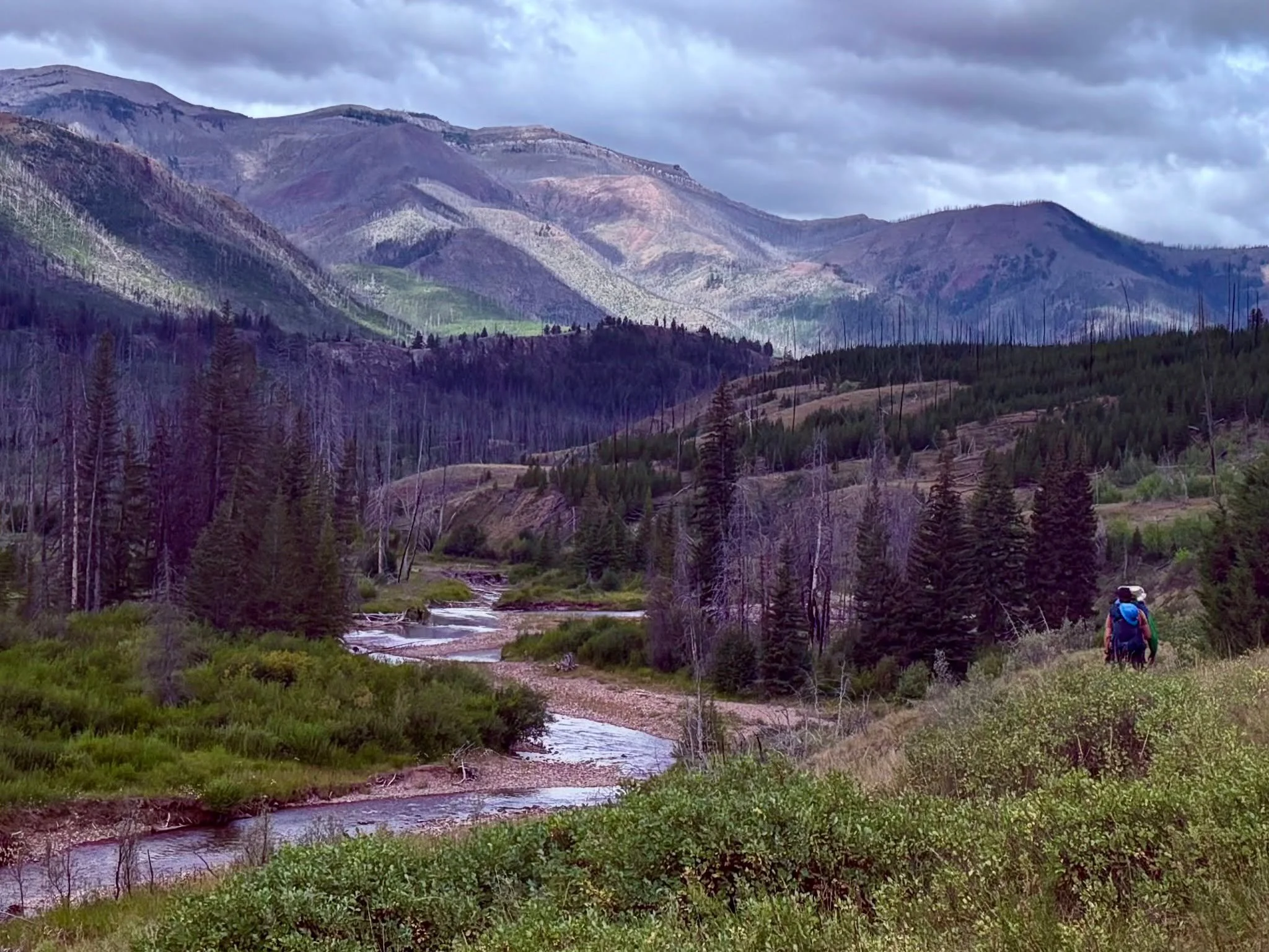 Happy Earth Day!🌎❤️ Today and every day, this special landscape &ndash; the Bob Marshall Wilderness Complex &ndash; reminds us of the importance of protecting the wild places we love. 

Today, we&rsquo;re turning to this community who loves the Bob 