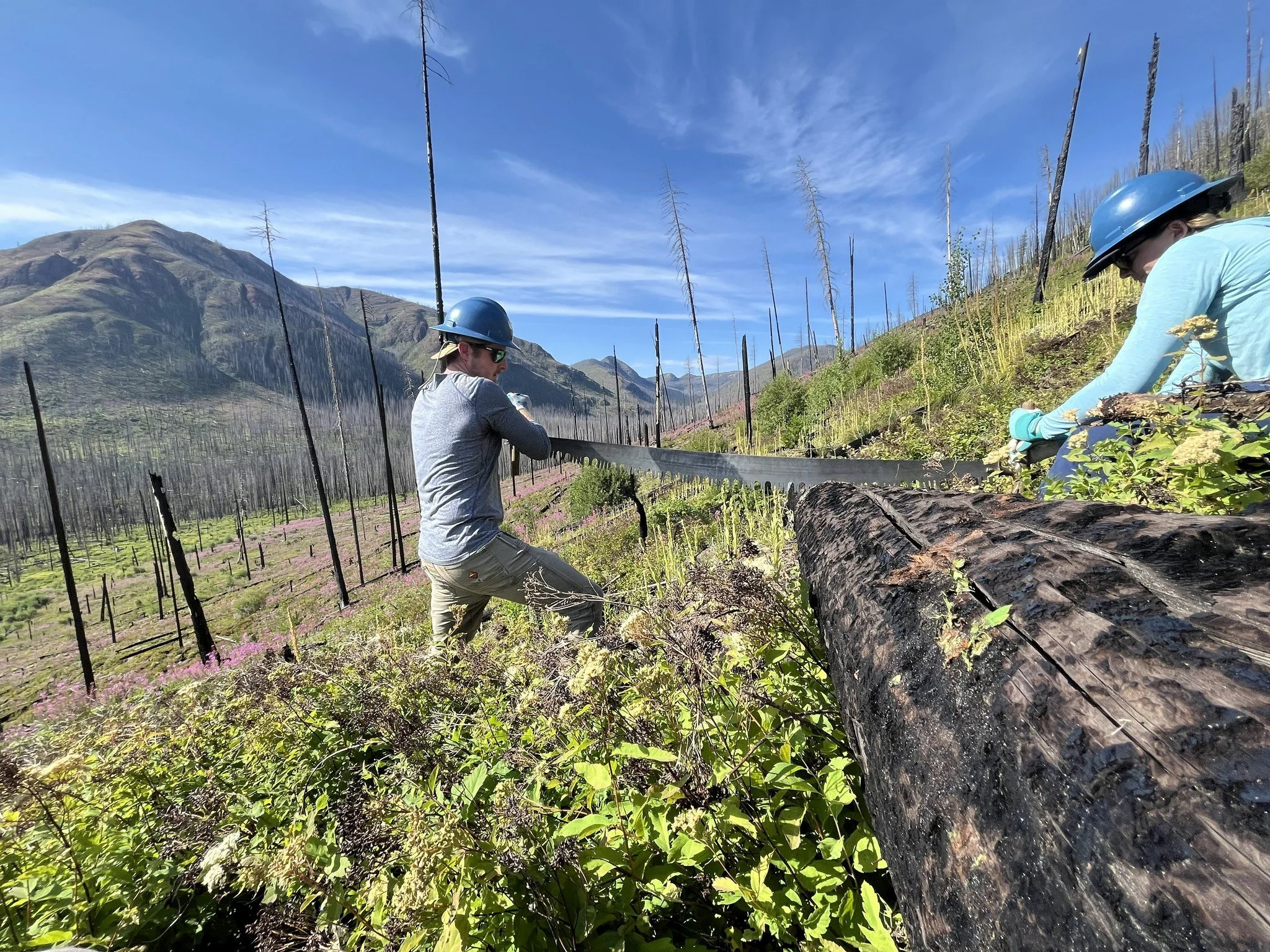 Give Great Falls has begun! 🥳 And Missoula Gives (4/30-5/1) and Helena Gives (5/6-5/7) are just around the corner. This spring, we're thrilled to be a part of ✨three✨ community giving days in towns that we know care deeply about the Bob.

All funds 