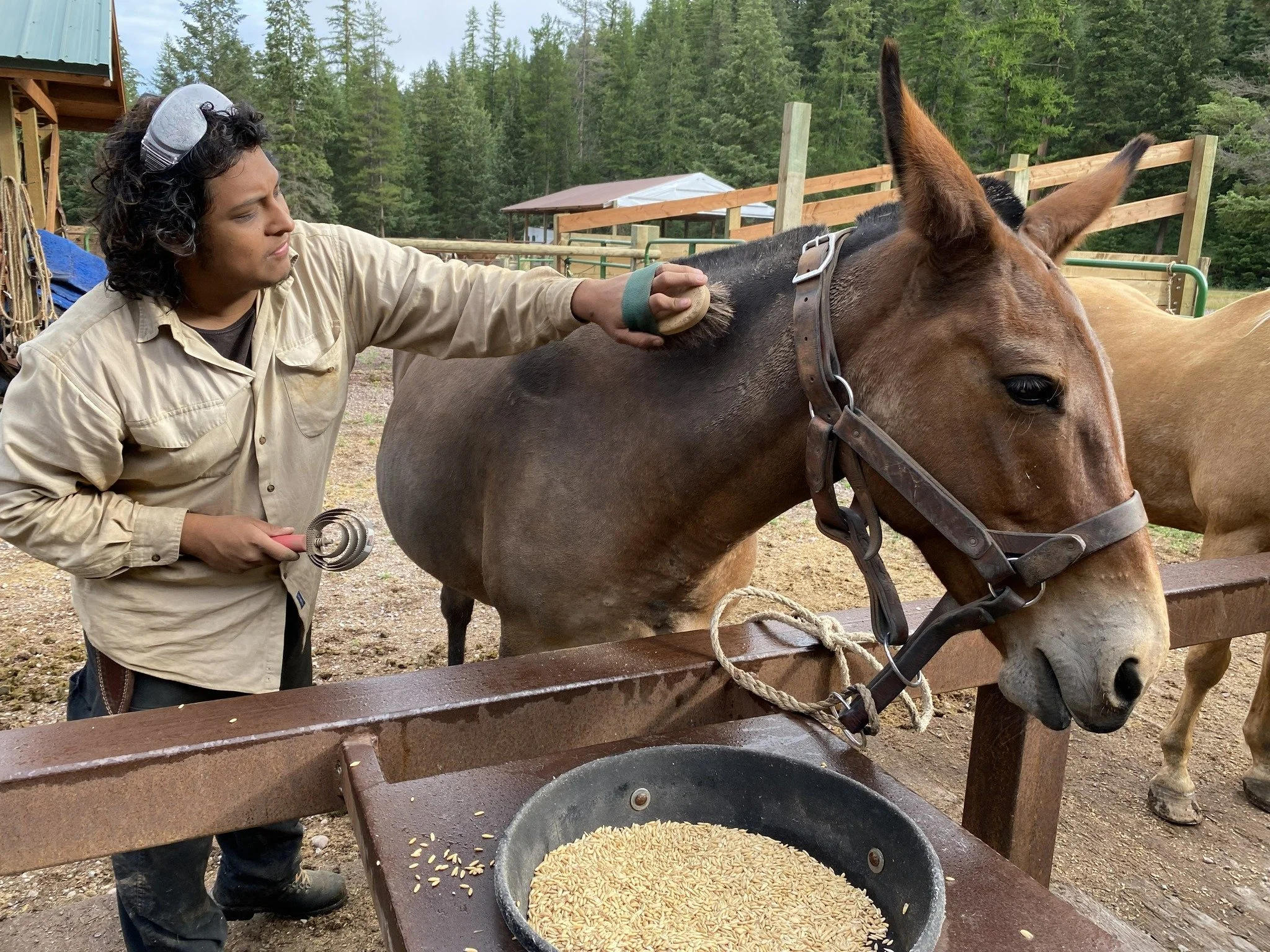 We have a last minute opening in our Wilderness Steward internship opportunities and we're looking for the right person to join us in the Bob this summer! This is a 14-week paid internship based out of the remote Spotted Bear Ranger Station, running 