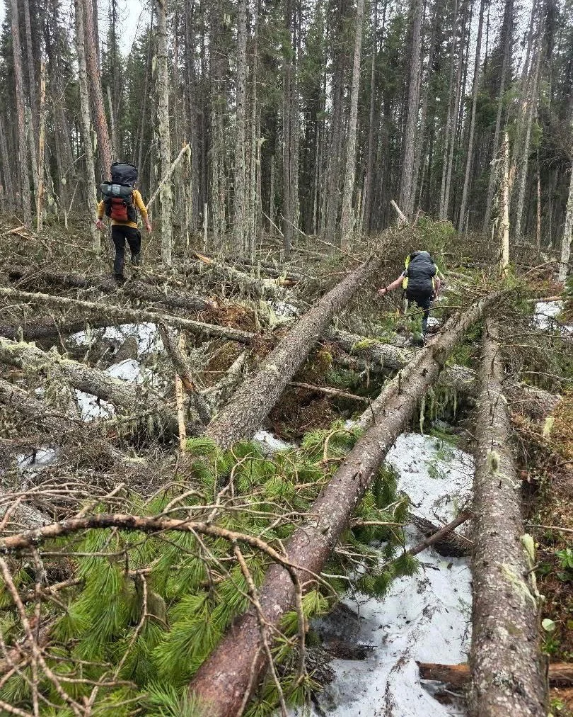 In case you haven't seen photos coming out of the backcountry yet, here are a few that have been shared with us from our friends at the Forest Service. This winter's wind storms caused an impressive amount of blowdown that's currently impeding access