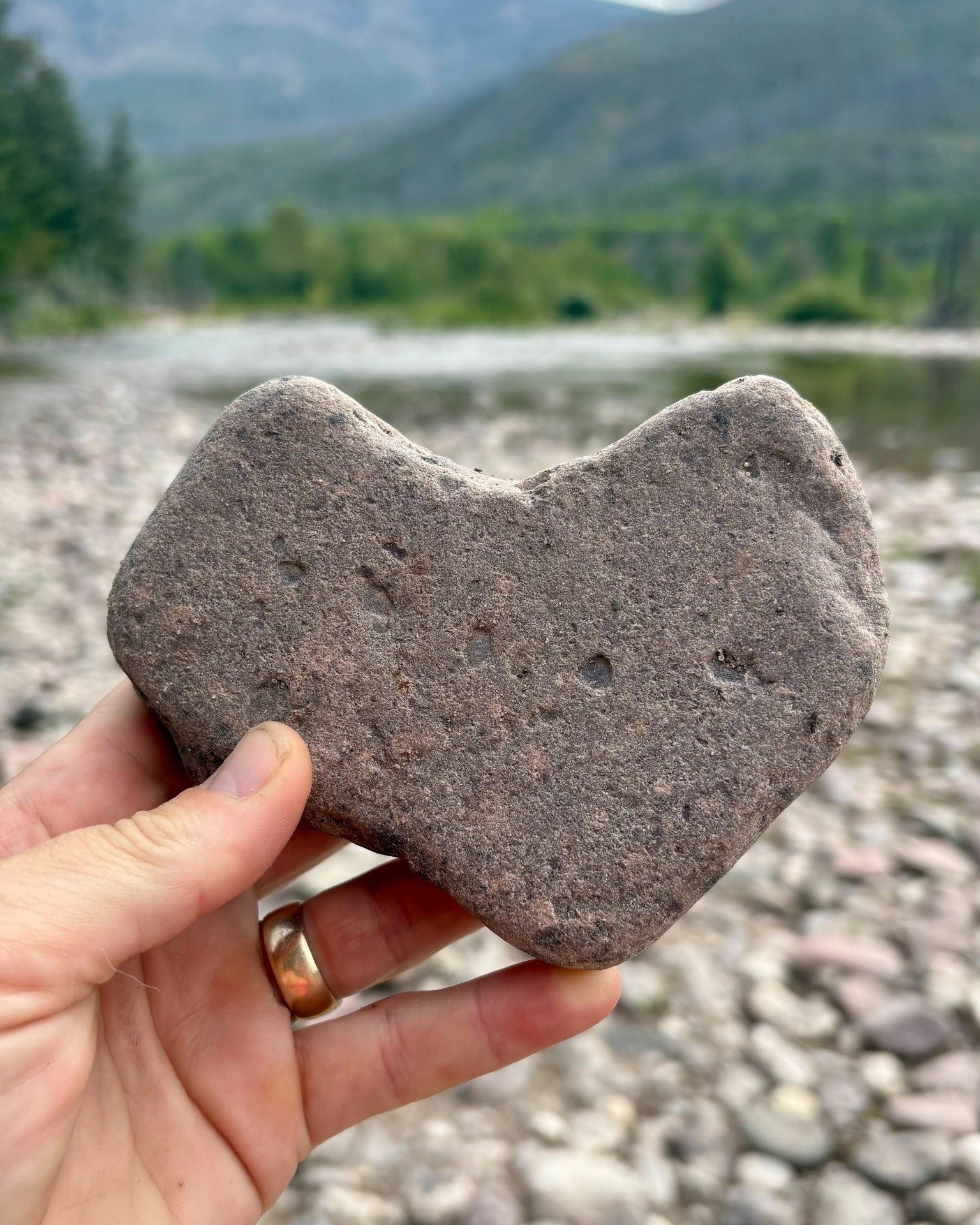 THANK YOU to all of you who included the Bob on your list in #GiveGreatFalls, #MissoulaGives and #GreaterHelenaGives, or gave directly through our website! 🫶 Thanks to you, we have officially met our $10,000 match and are almost halfway to our $50,0