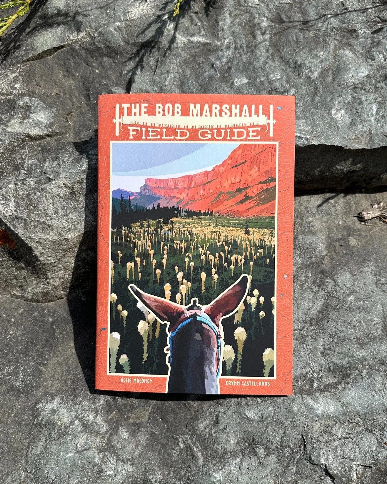 The Bob Marshall Field Guide is HERE! We're so excited to share this first edition far and wide with you, our community who loves the Bob. 

Previously only available for our staff, this new version includes 50 pages of trip planning tips and tricks,