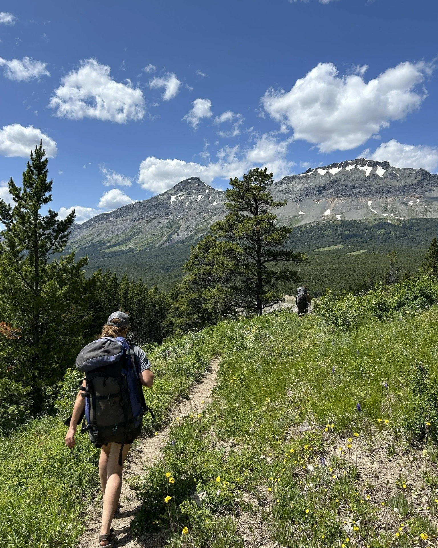 Want to volunteer in the Bob, but on your own time? Have we got a deal for you!!

Maybe you have a limited schedule, or a favorite trail you want to hit. Perhaps you just want a new way to spend the day outdoors and have a positive impact on your loc