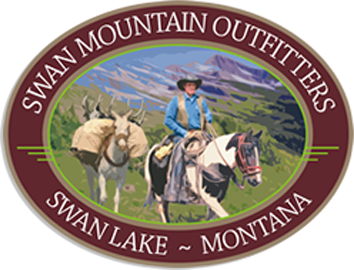 logo (3).png