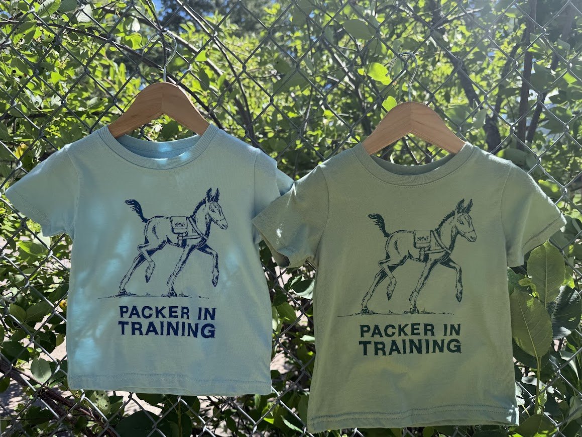 Toddler T-Shirt: Packer In Training