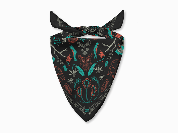 Bob-Marshall-Wilderness-Bandana-Field-Guide-Designs-4.webp