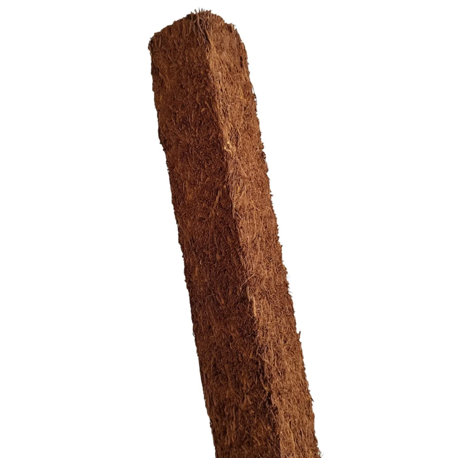 palofelce.jfif