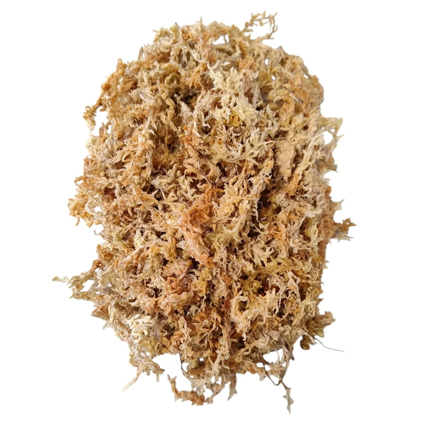Sfagno Neozelandese One Mile Moss
