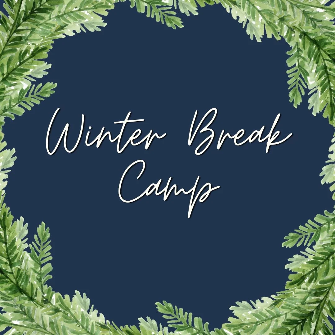 Winter Break Camp