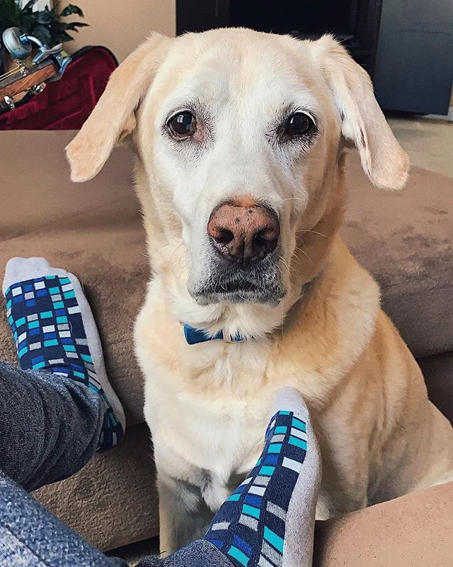 **RARE** she’s actually looking at the camera! 😨😳 comment “thank you chloe” for good luck 🍀, ignore for wet socks! 😖
