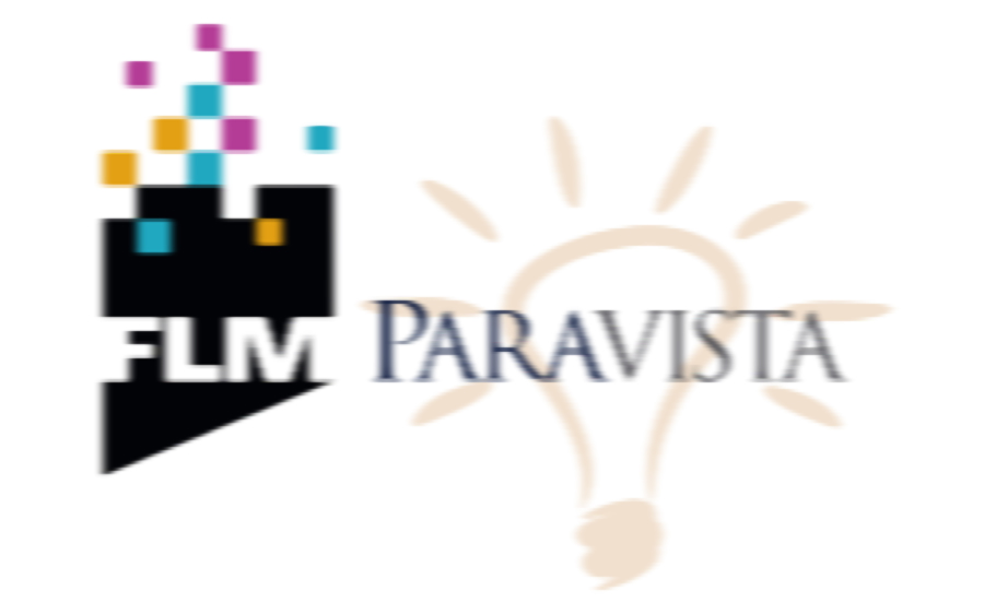Raster Raster files are made up of pixels and are commonly called bitmaps.