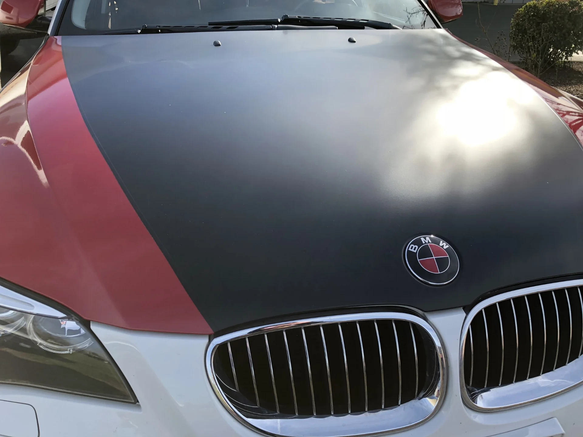 BMW Emblem Mod