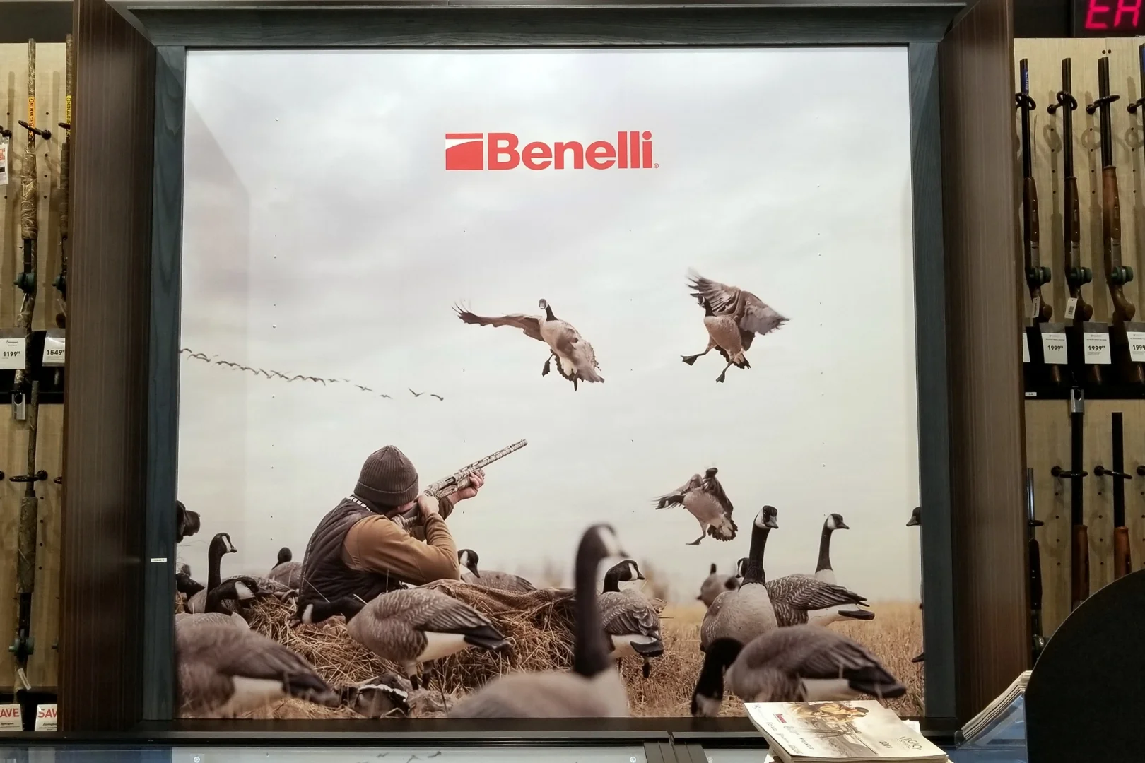 Benelli Wall Graphics for Field & Stream