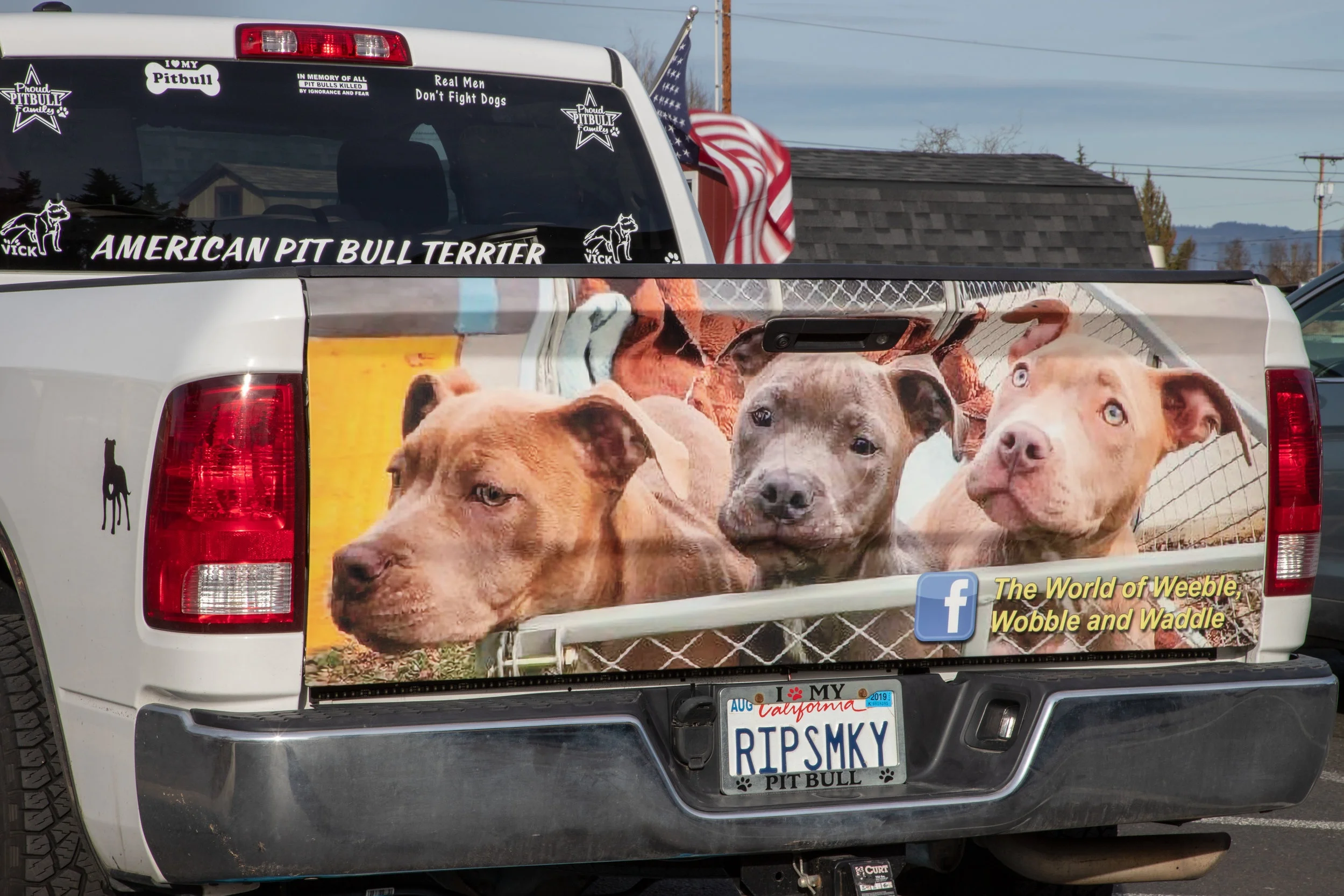 Pit Bull Tailgate Wrap