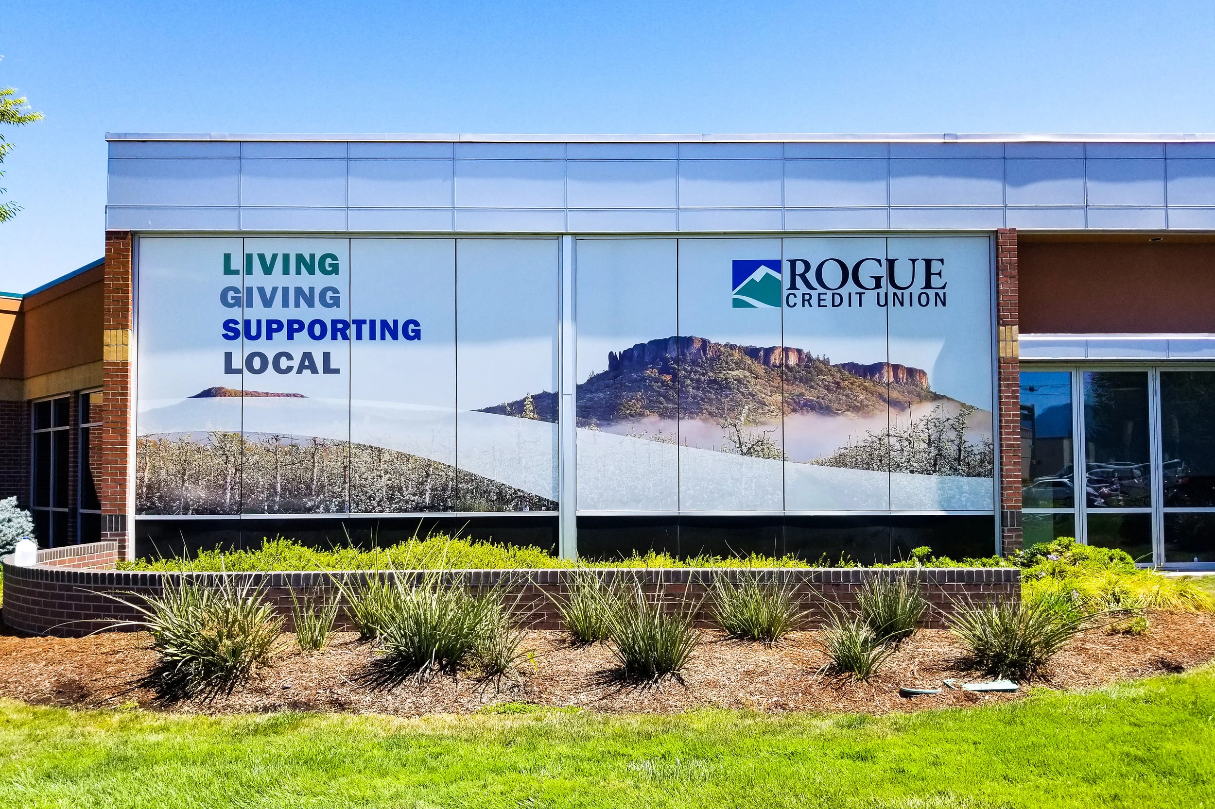 Large Rogue Credit Union Window Graphics