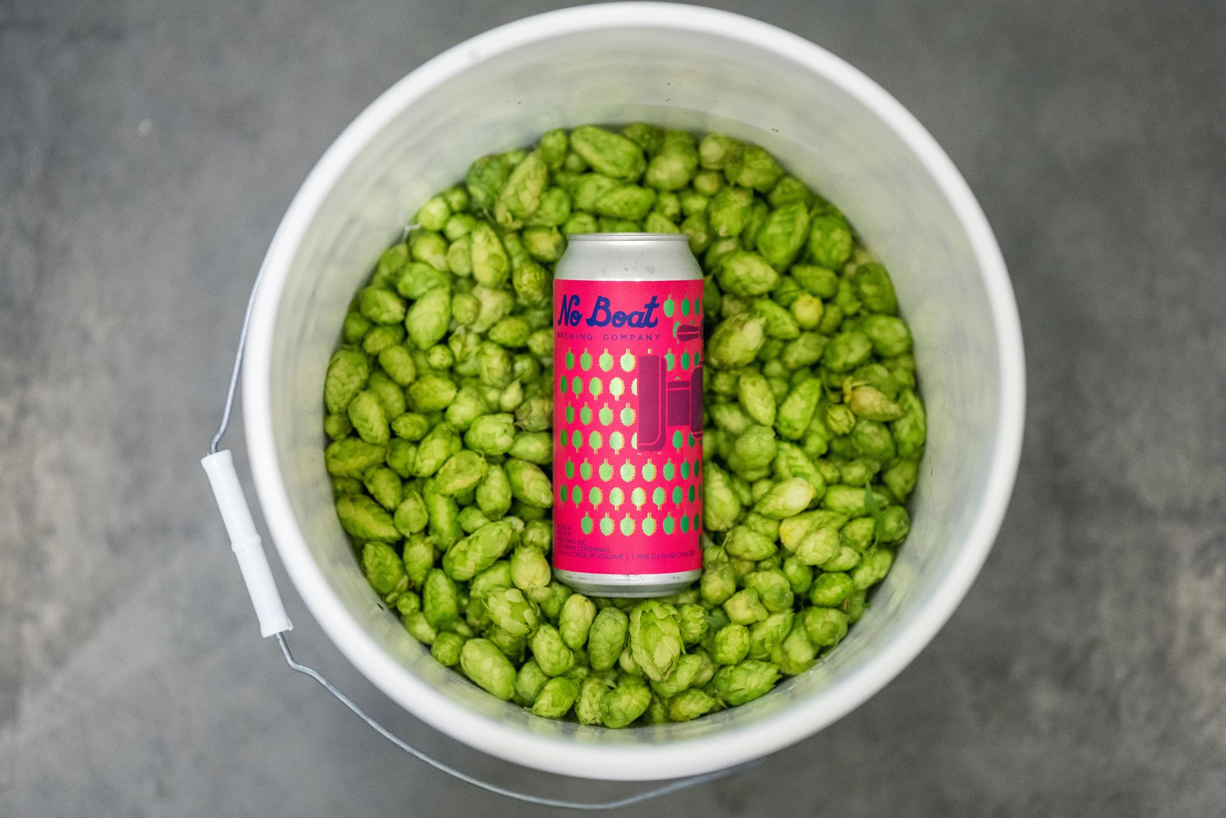 FRESH_HOP_082824_2288.jpg