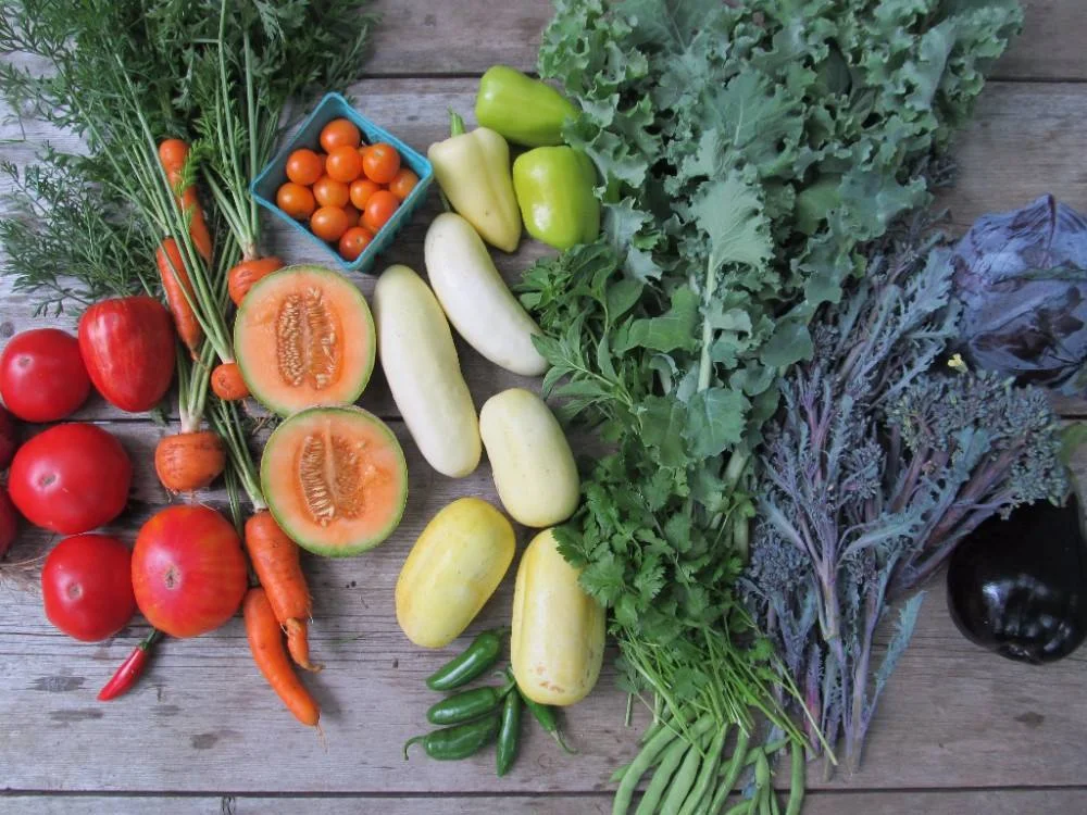 An assortment of vegetables produced from seeds at the seed library