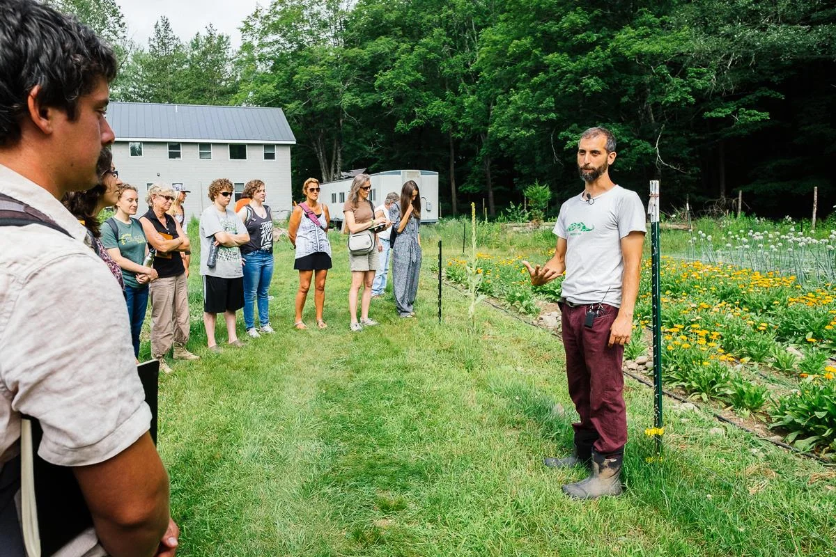 A demonstration and talk for how to care for certain seeds and about the work done at the seed library