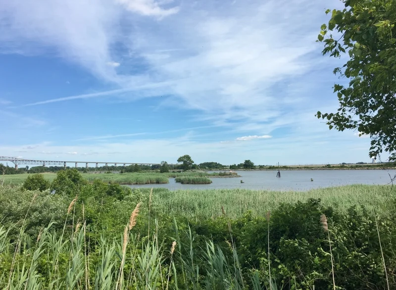  Chesapeake &amp; Delaware Canal and marsh, where Eric and his brother used to play 