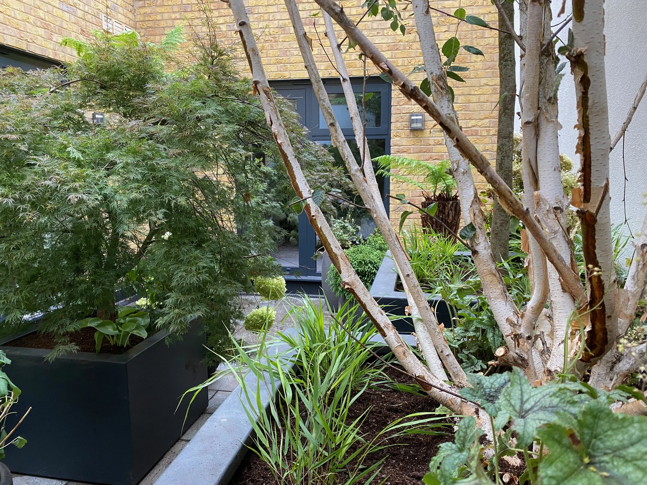 Lawrence IMG_2876.jpeg