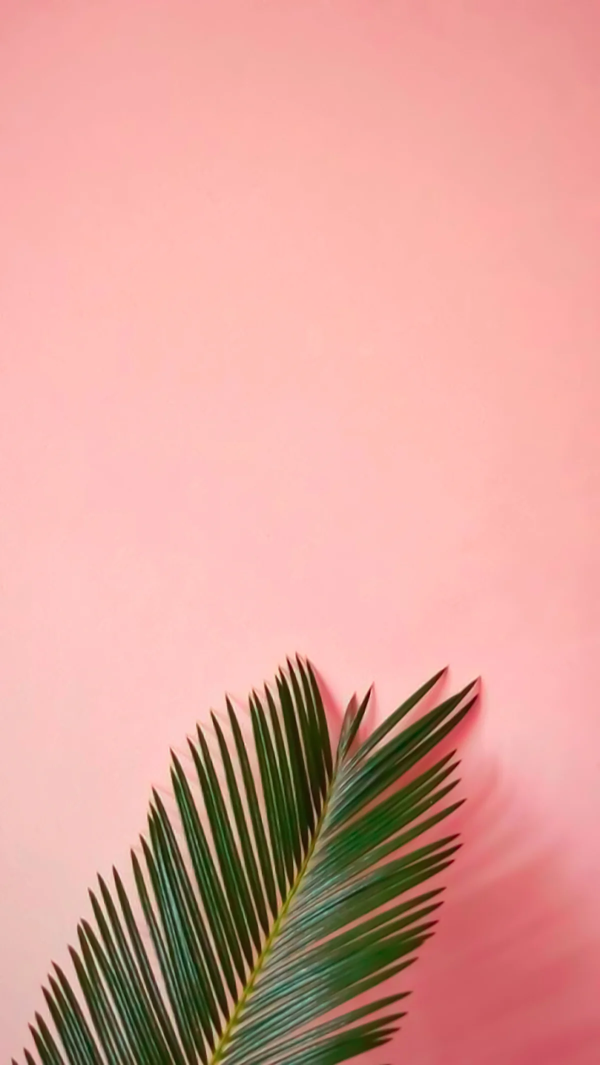 2c73ef88ca84f1762e120f3e67ee2c8b.jpg