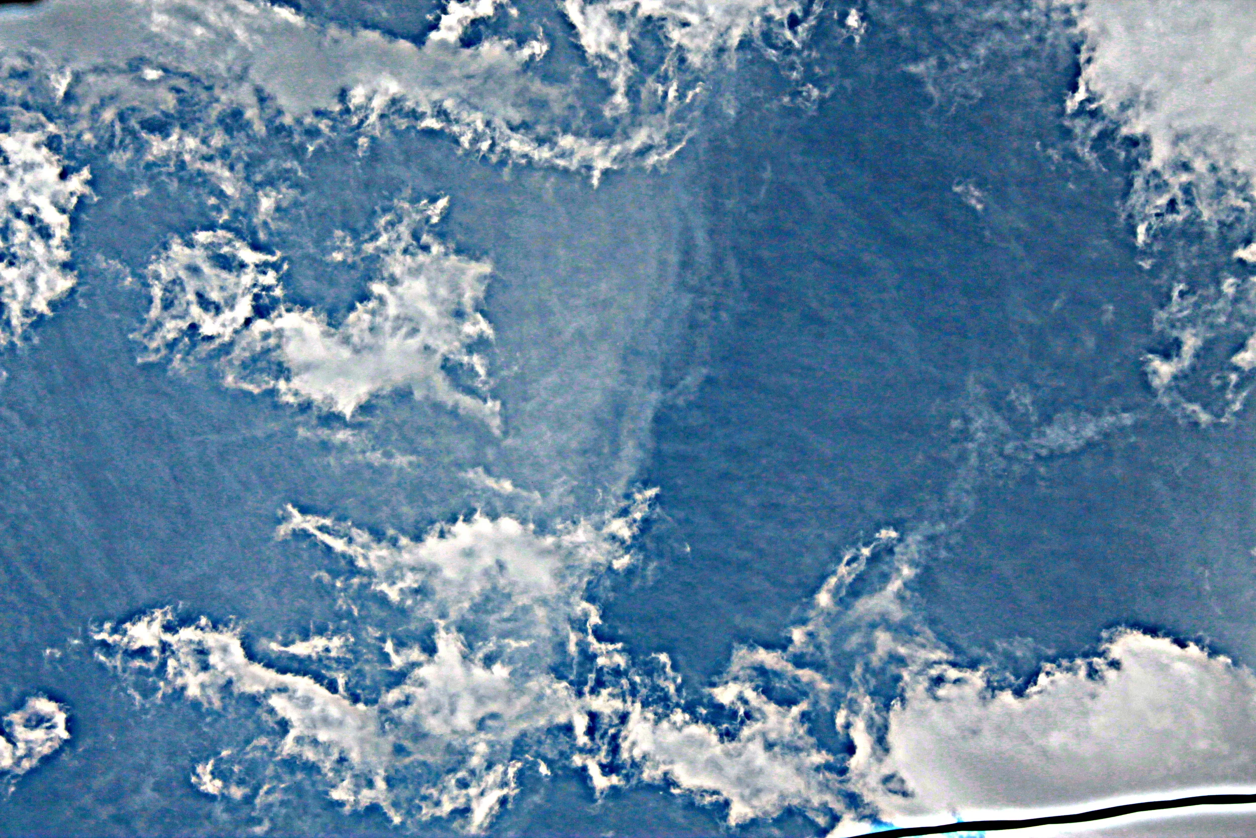 IMG_3161 - CJJopy.JPG