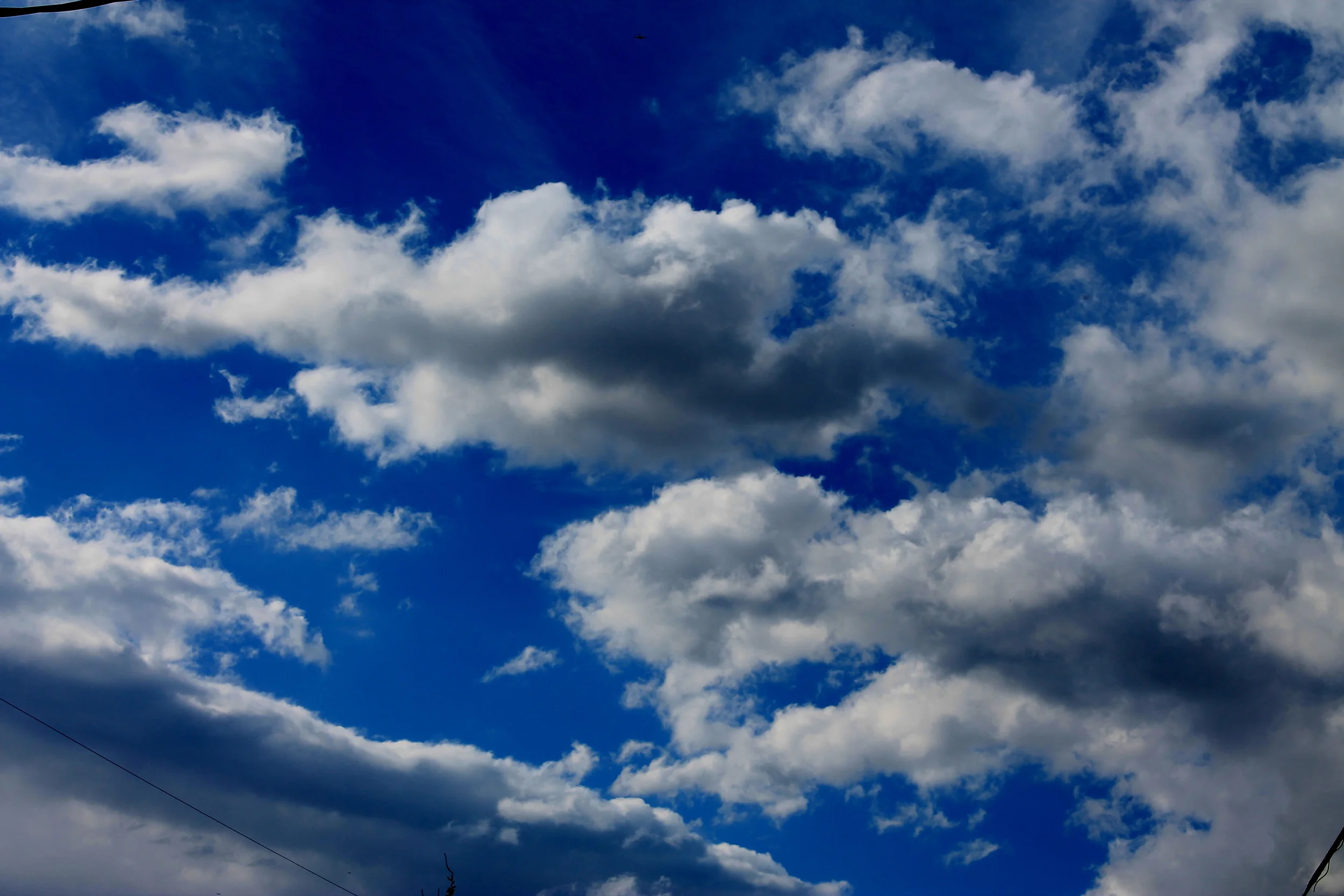 IMG_3167     DSsD Copy.JPG