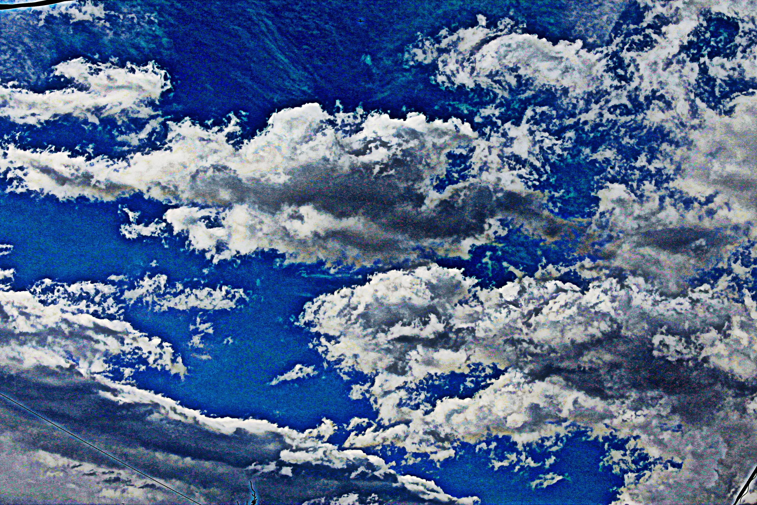 IMG_3167 - CoCpy.JPG