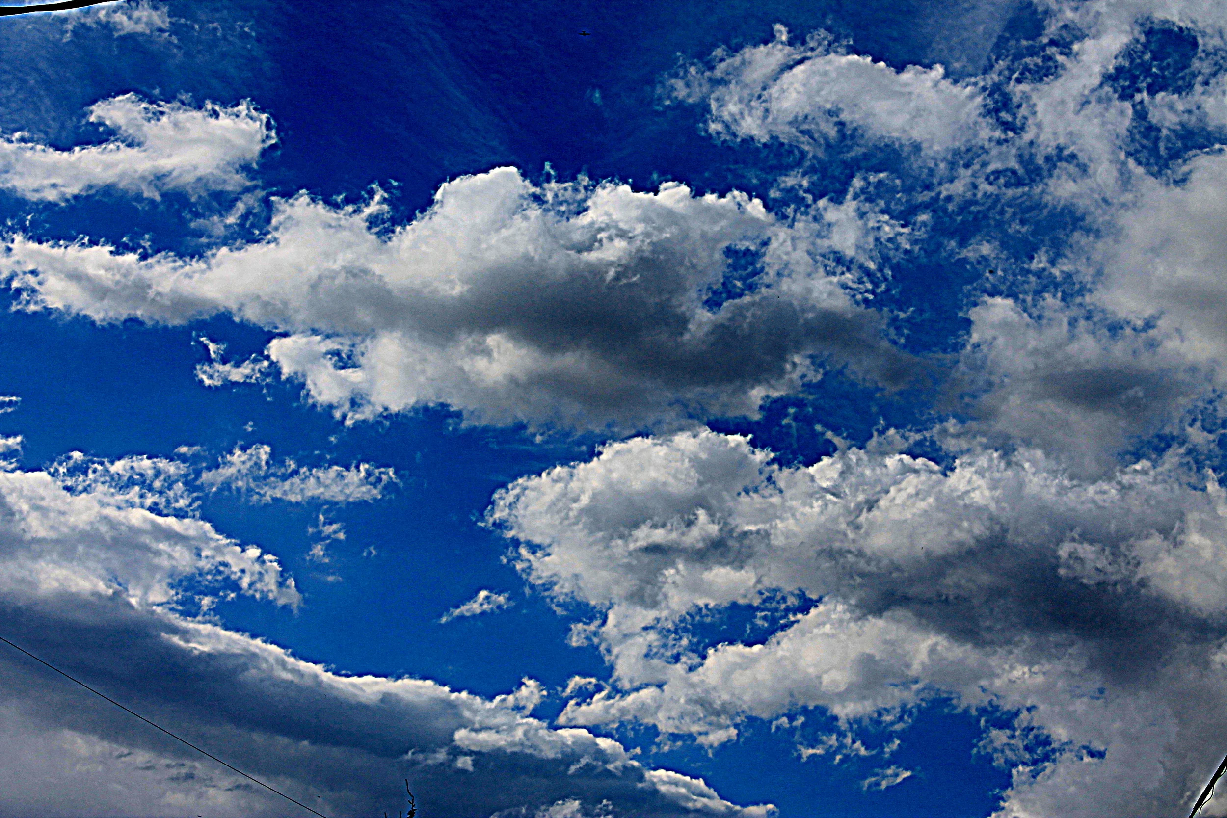 IMG_3167 C- Copy.JPG